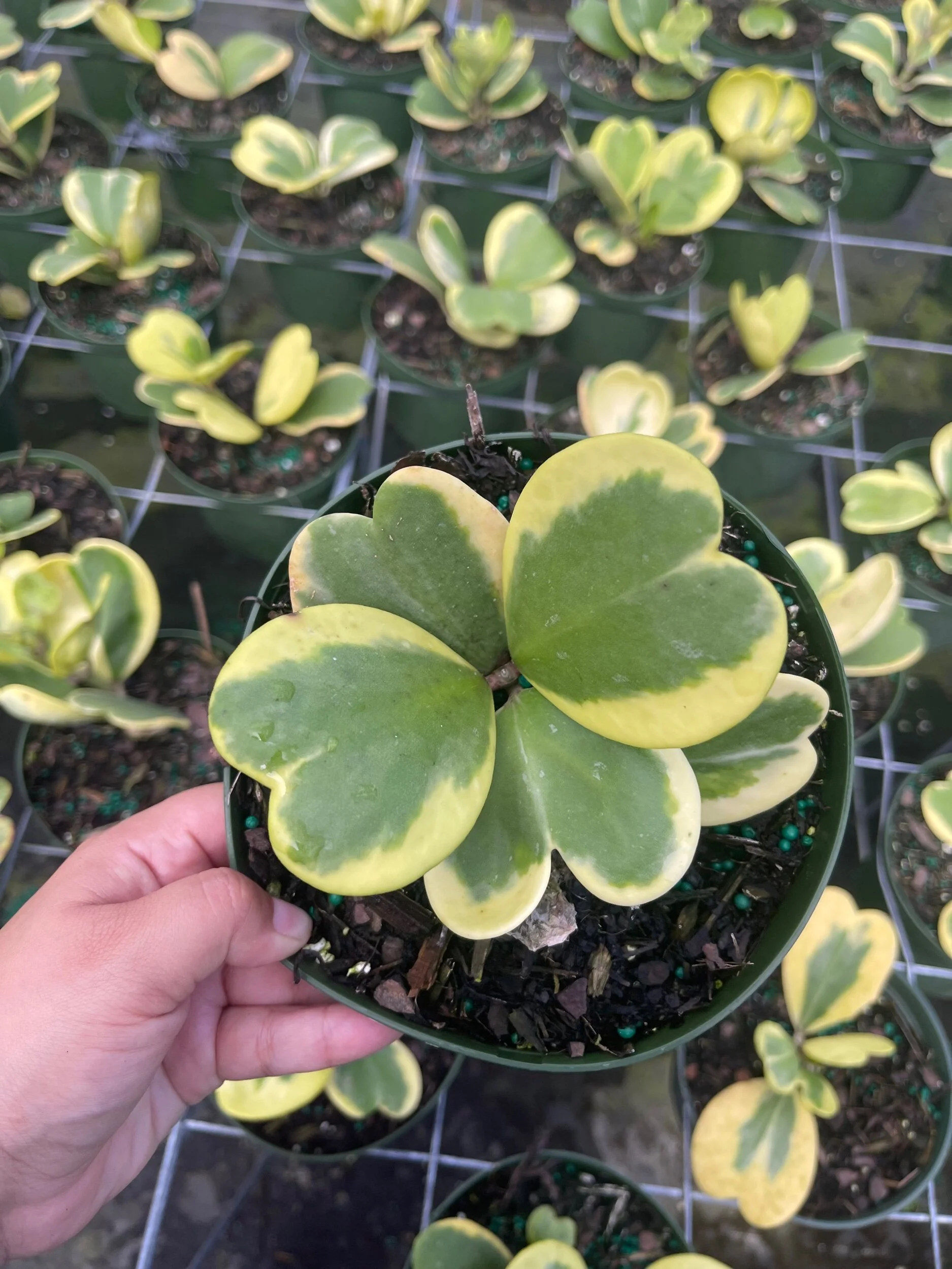 340D0F21-C591-4275-9AD9-488650E81343