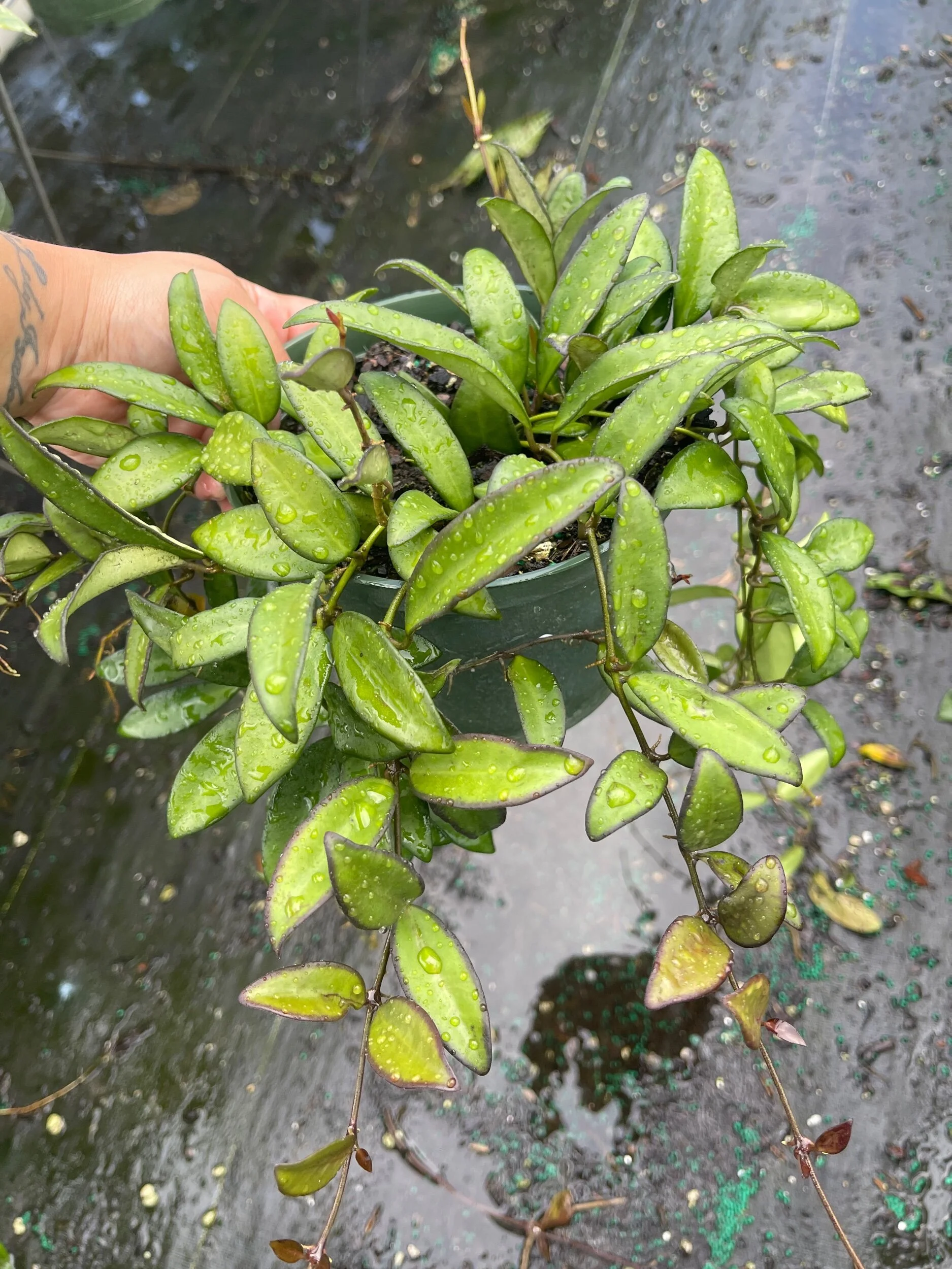 10FF2194-07EA-4ABB-AC2F-76233E9E93DB