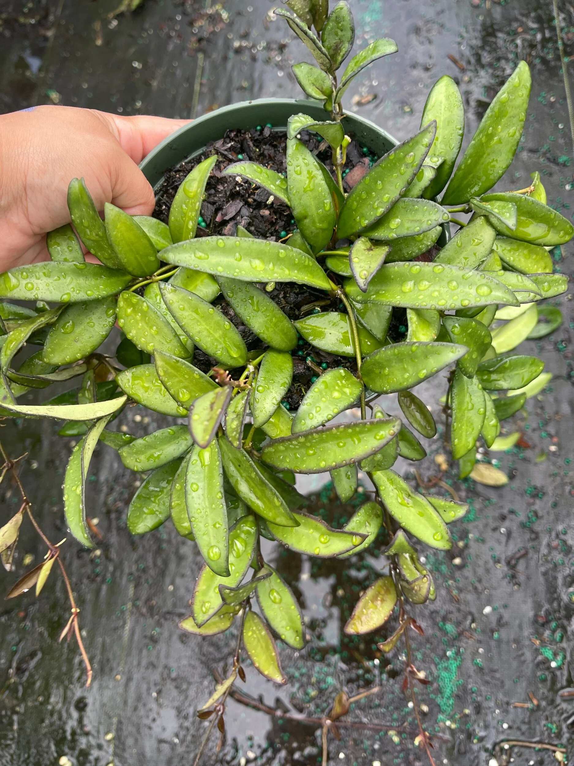 9EE239B7-D9B9-4F76-B008-C33BEF631BC5