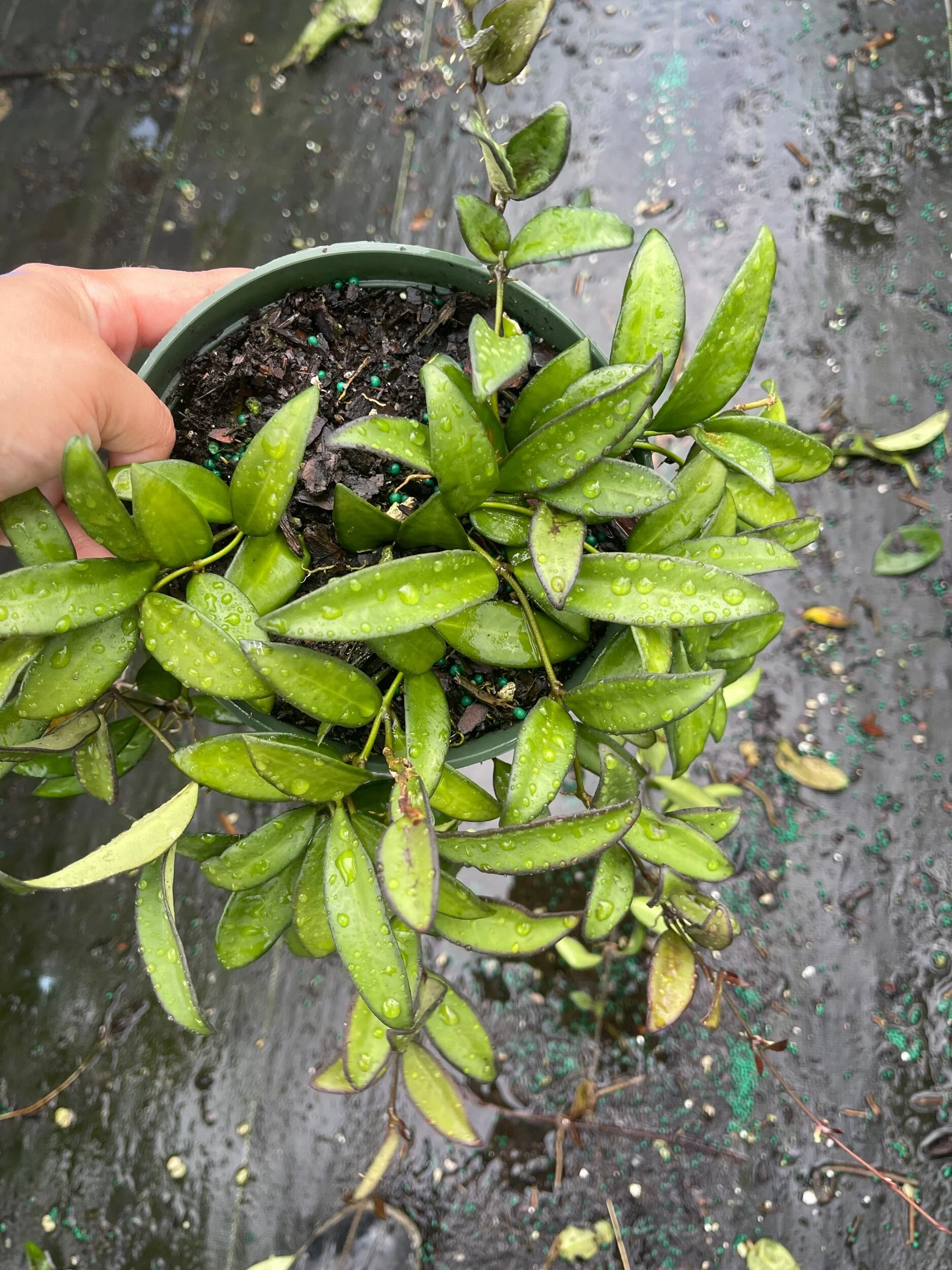 6CE69AD0-F84C-4BC4-B89F-D26A06734490