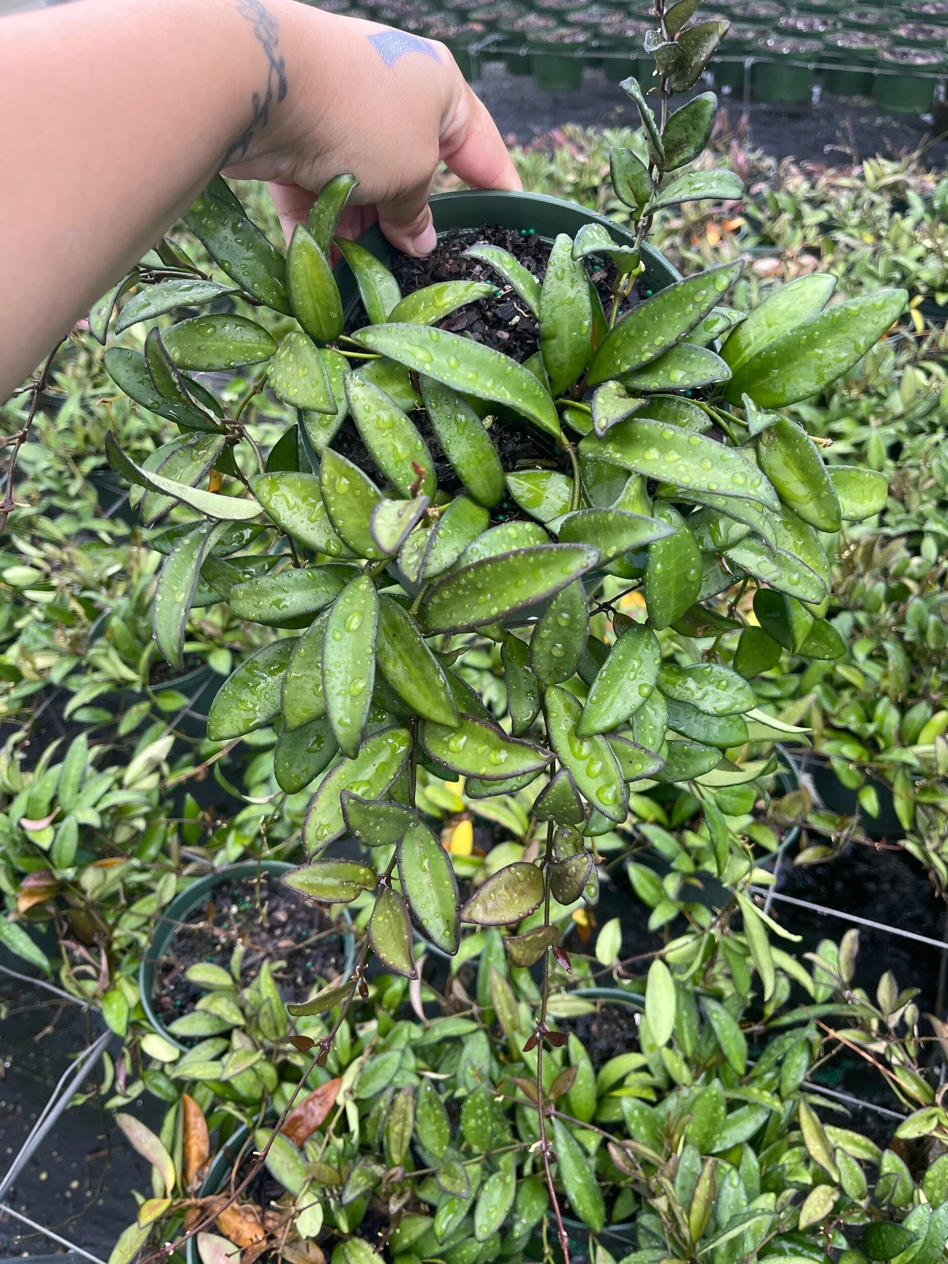 28A224A4-70B0-4F23-8804-57AB7640A626