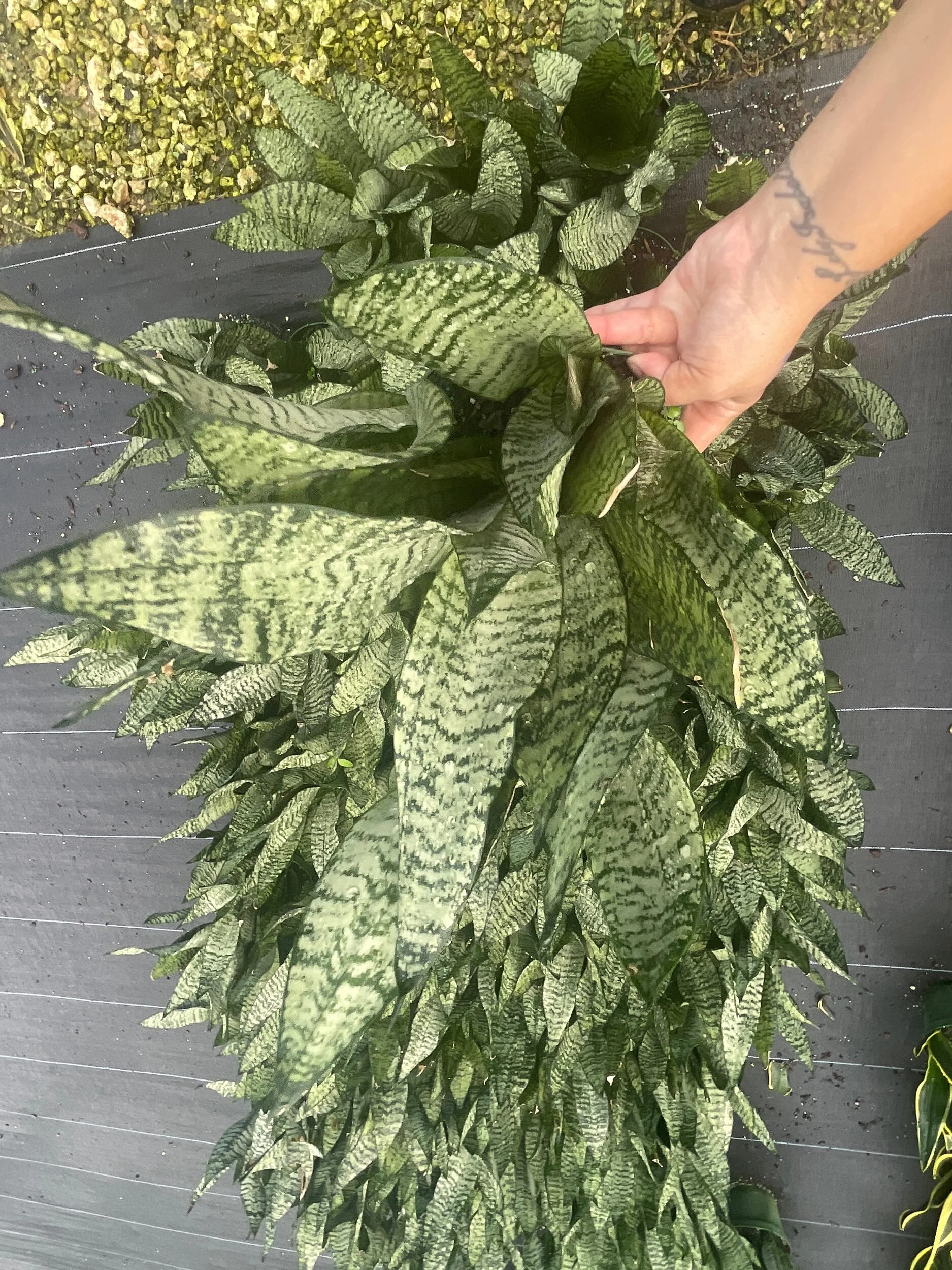 222F724D-925C-4413-B46A-D01E8681C45D