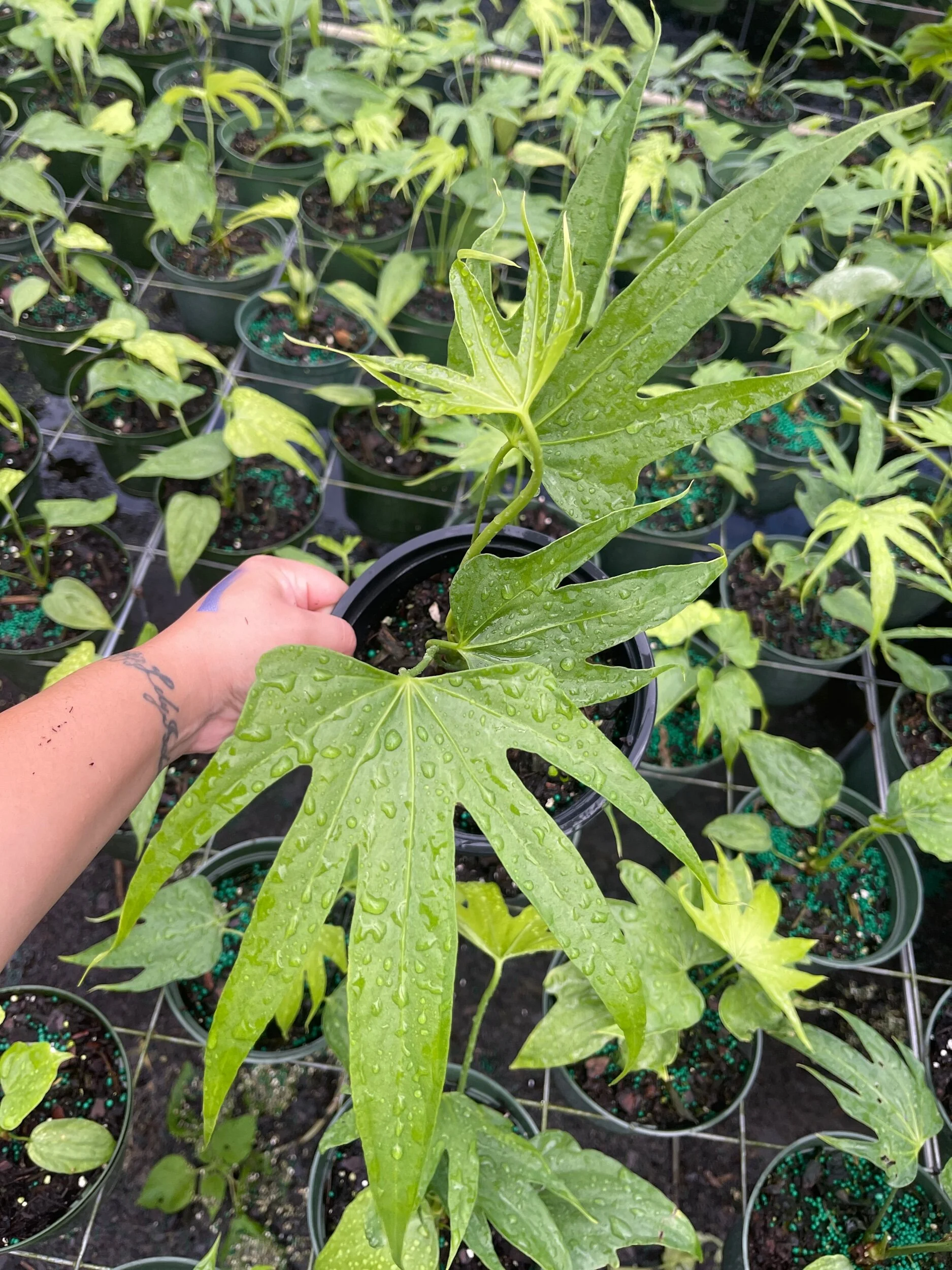 8EE15C64-3176-4B40-B02C-2A9E0657C3D3