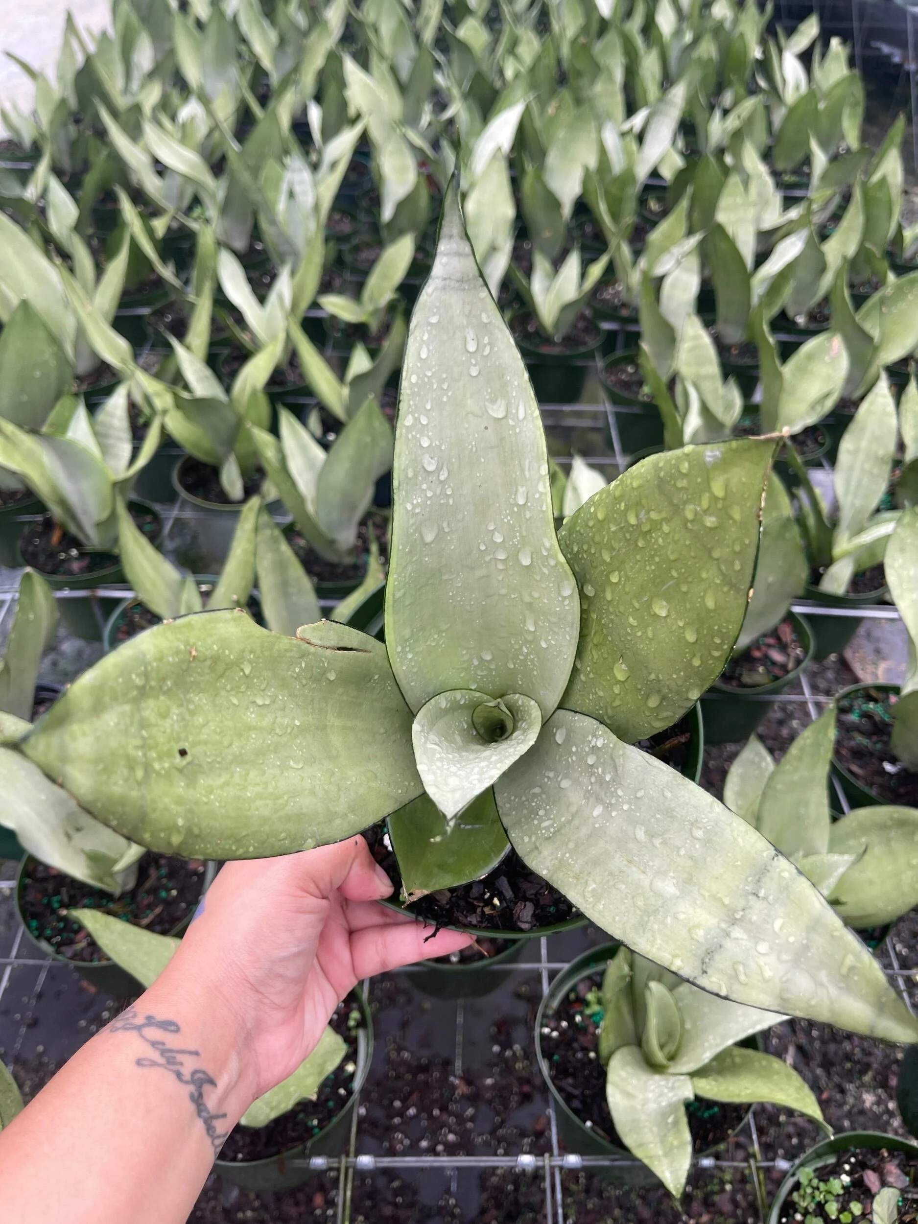 22D199CB-CC19-45BA-BDEE-8DE0FF6B95F9