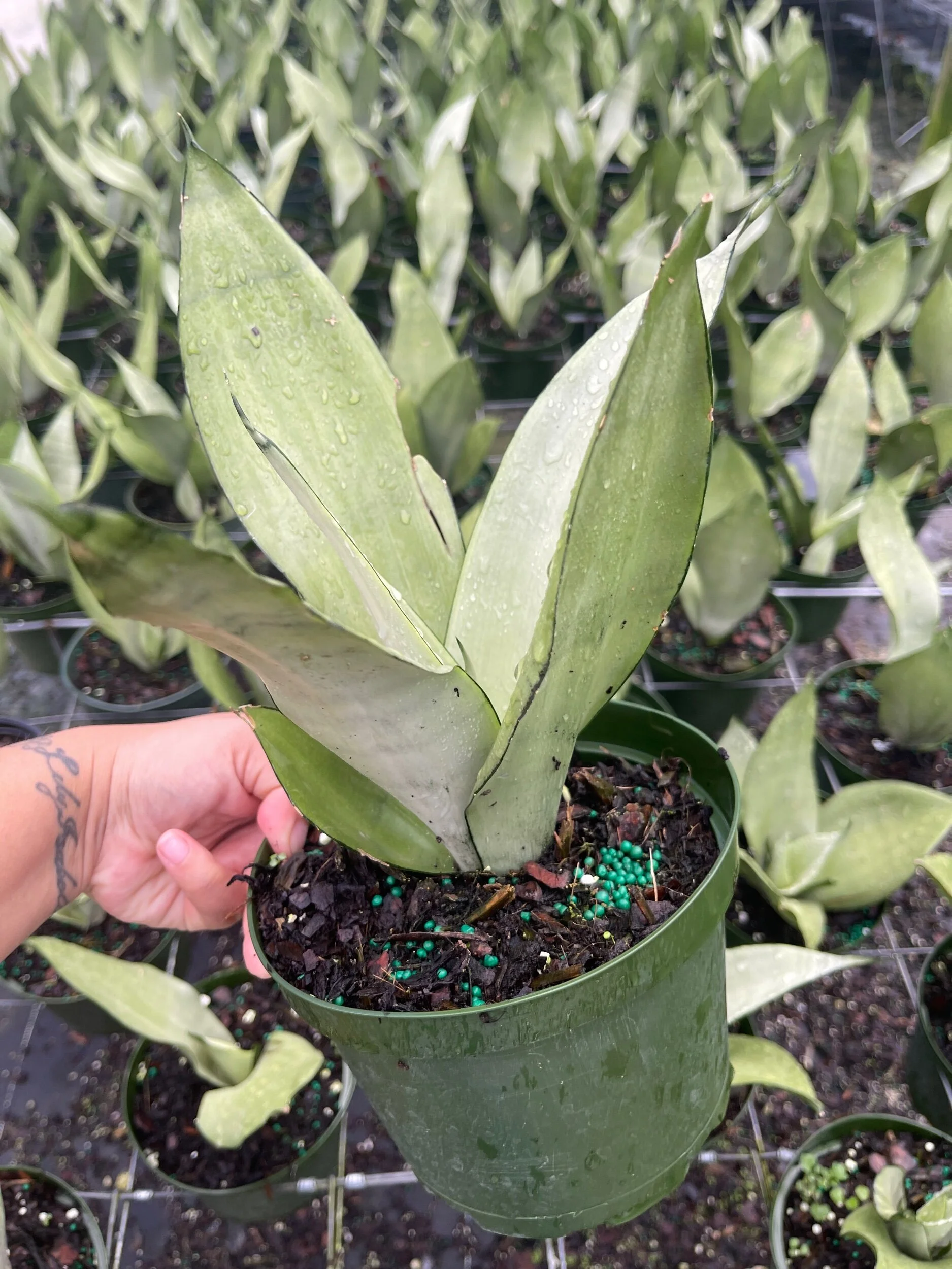 0467EC4C-D6C1-4097-BF2A-1BF4F199DCDA