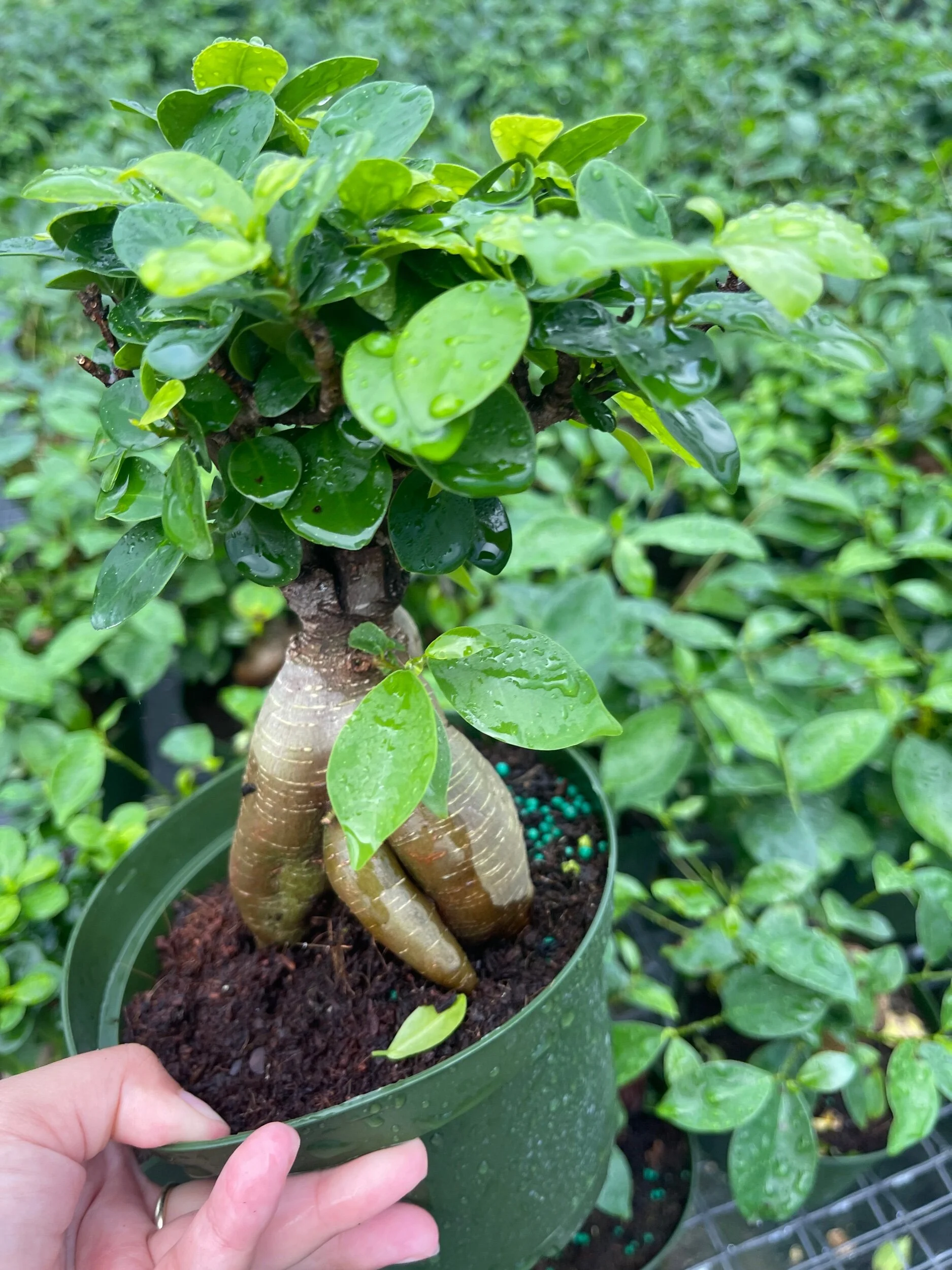 135DC5F0-AA2D-4287-8B0B-E15BBA334A50