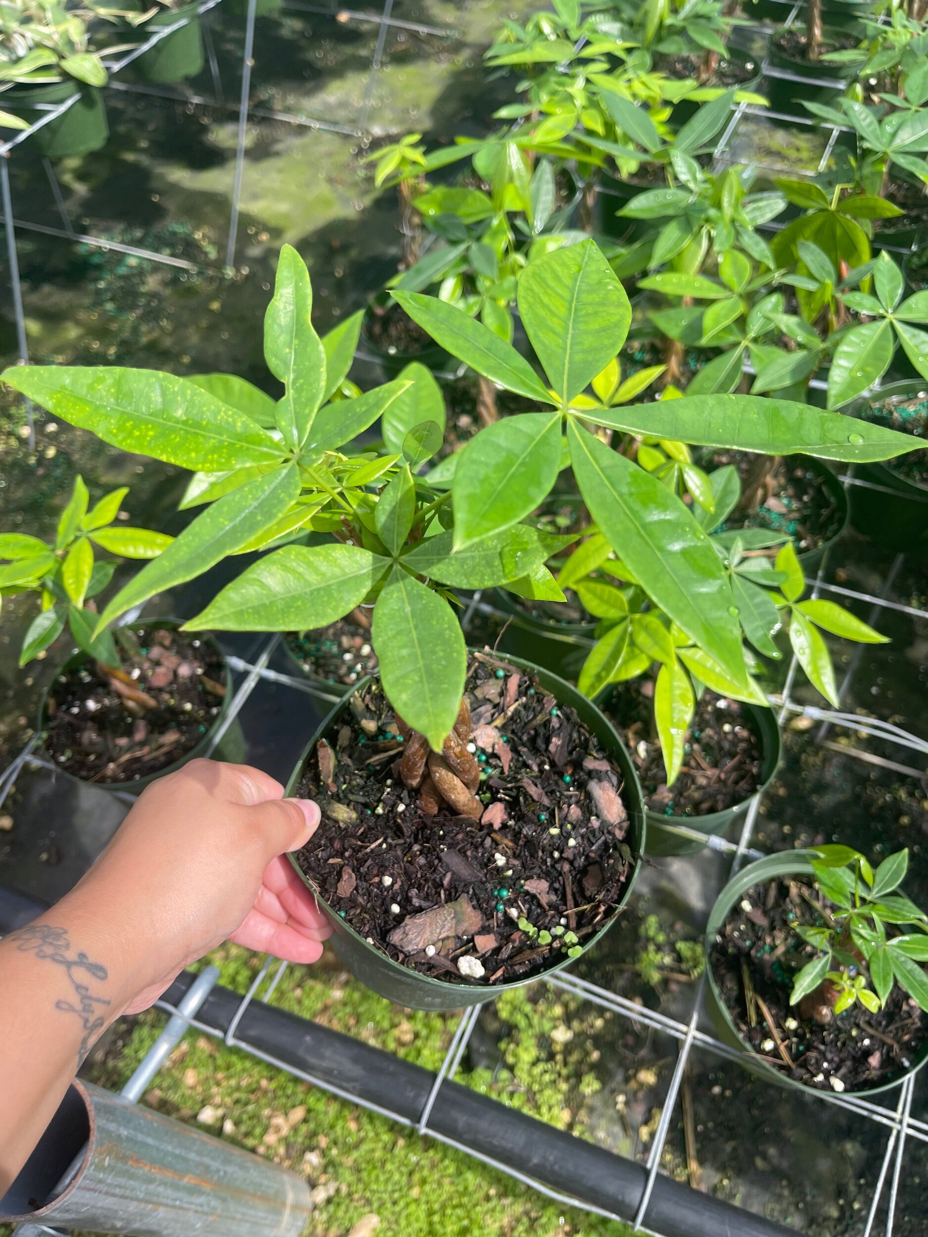 168232B8-96B4-4A1E-A1C3-26570C531A5F