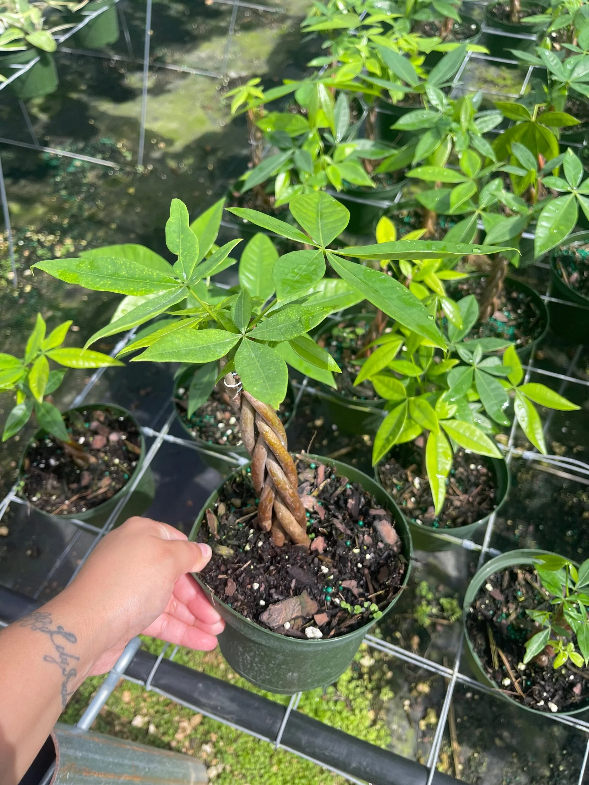 A36D710F-B47B-443F-A609-907FAAC626C5