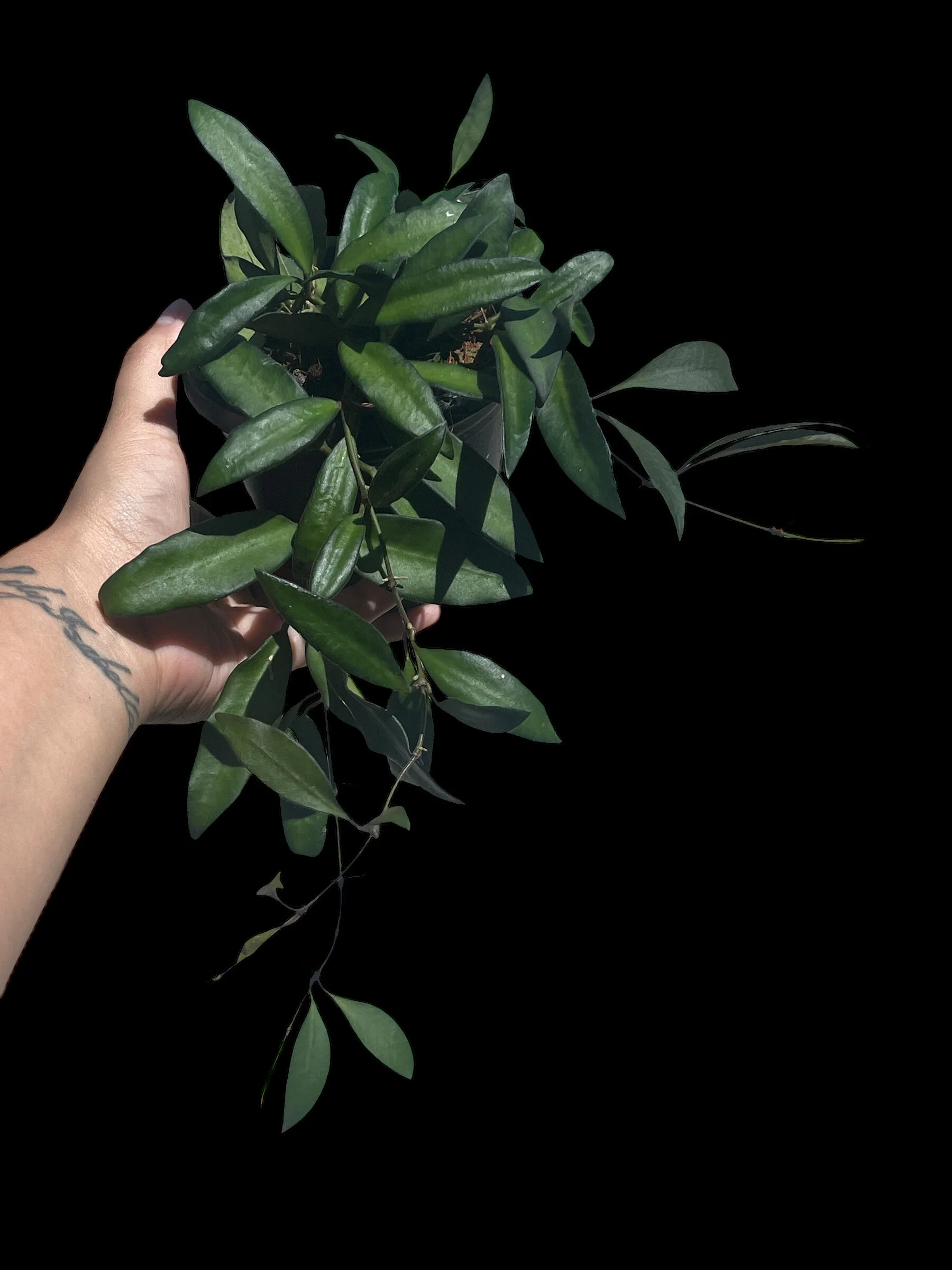 BC42B34F-61B2-4AAD-A1D6-A83C949626FB