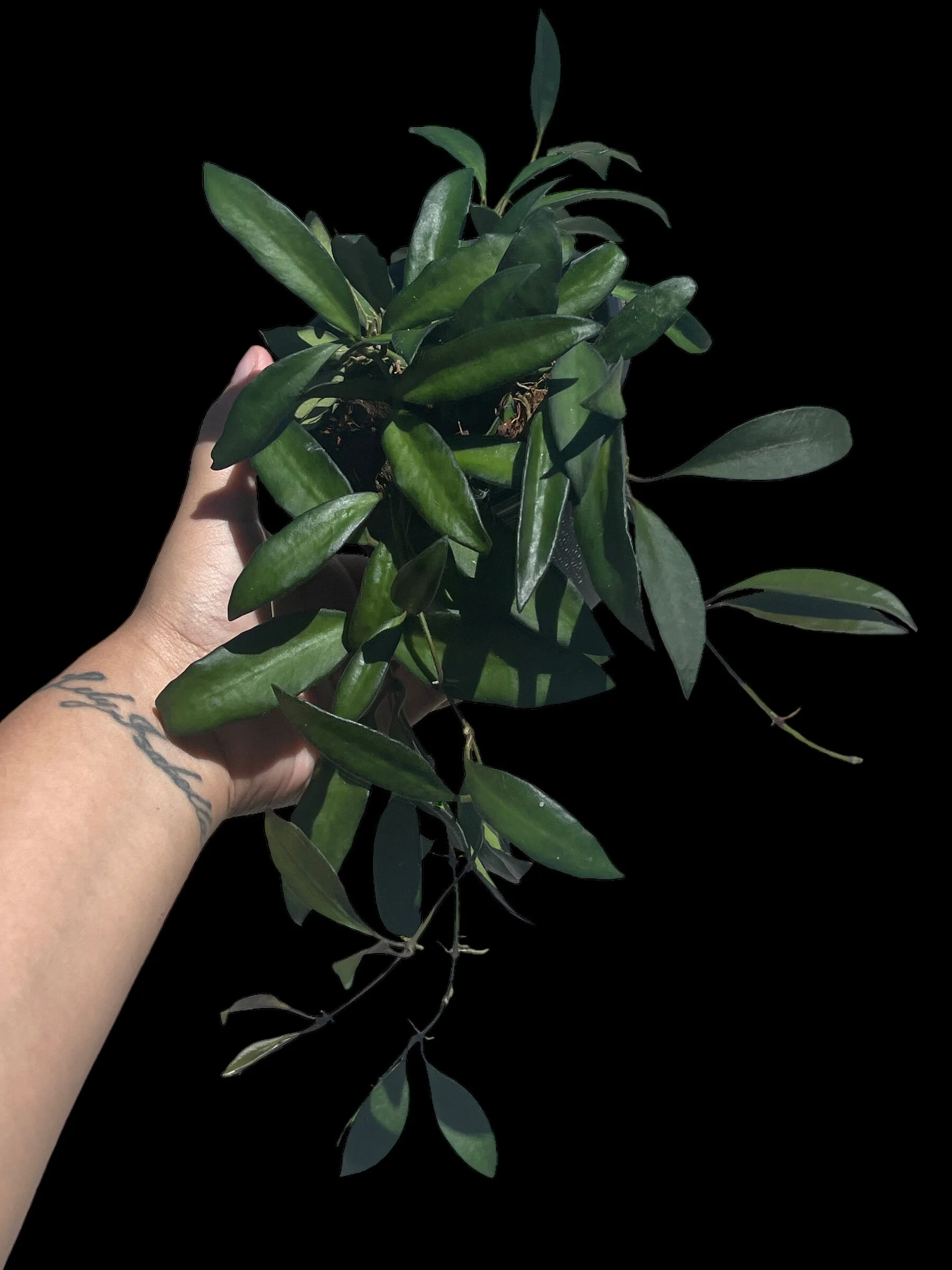 175C3A86-B63E-4030-9F55-1ACE172131BE