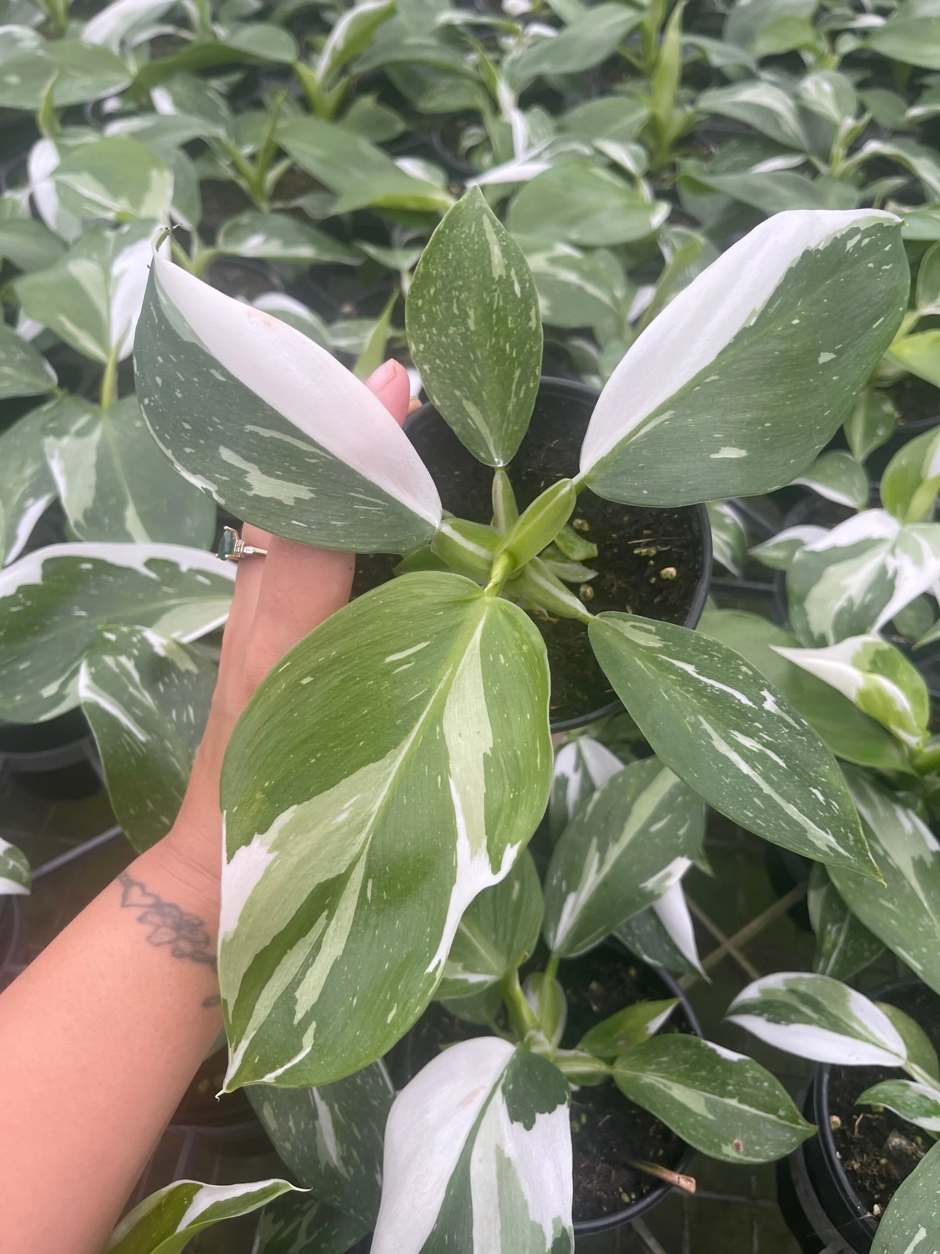 9216F3A6-5DBC-4BB8-87D9-24A2D652F34C