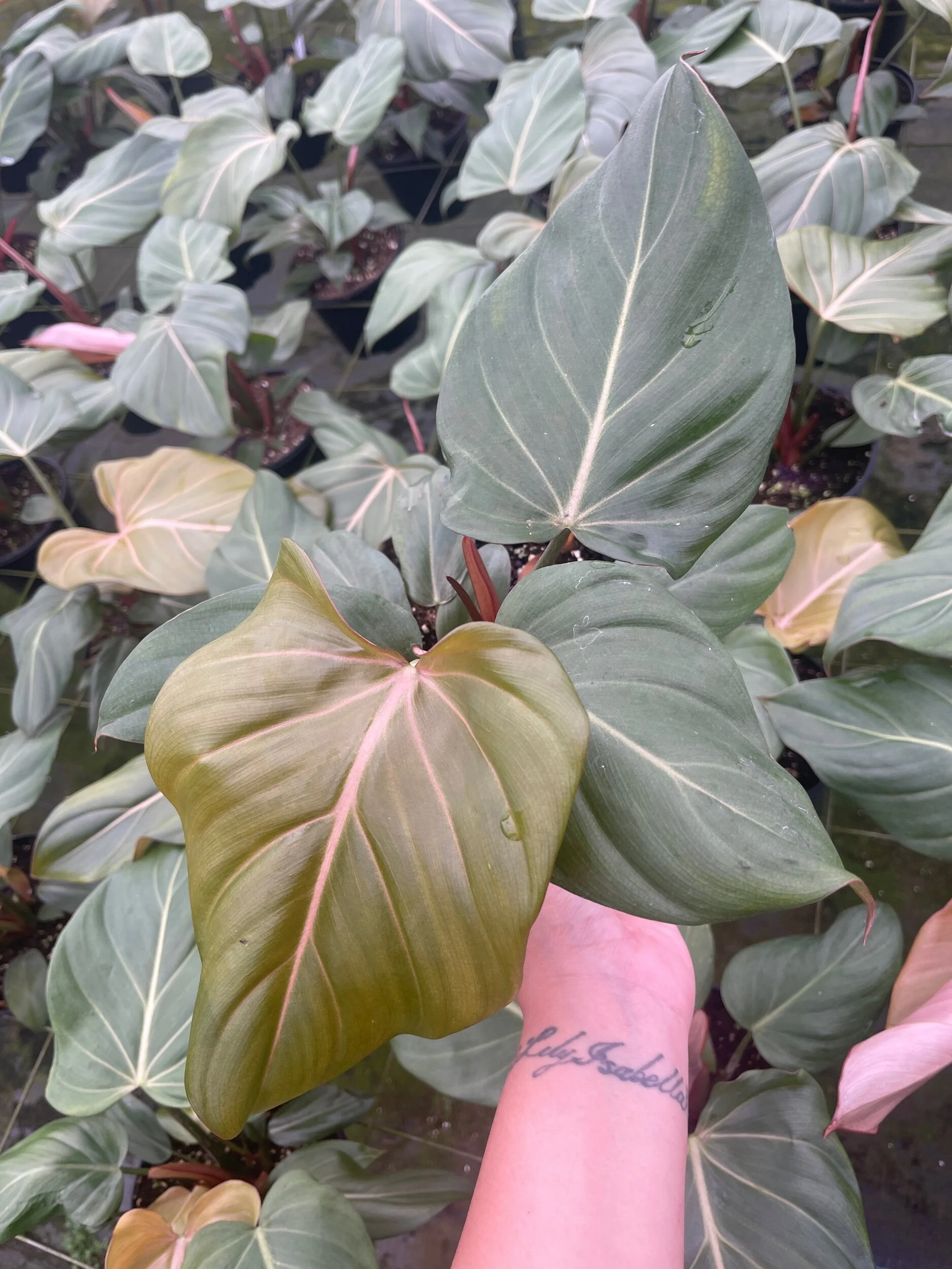 2D6D7E14-346D-4C80-8822-8DDBE8E83D70