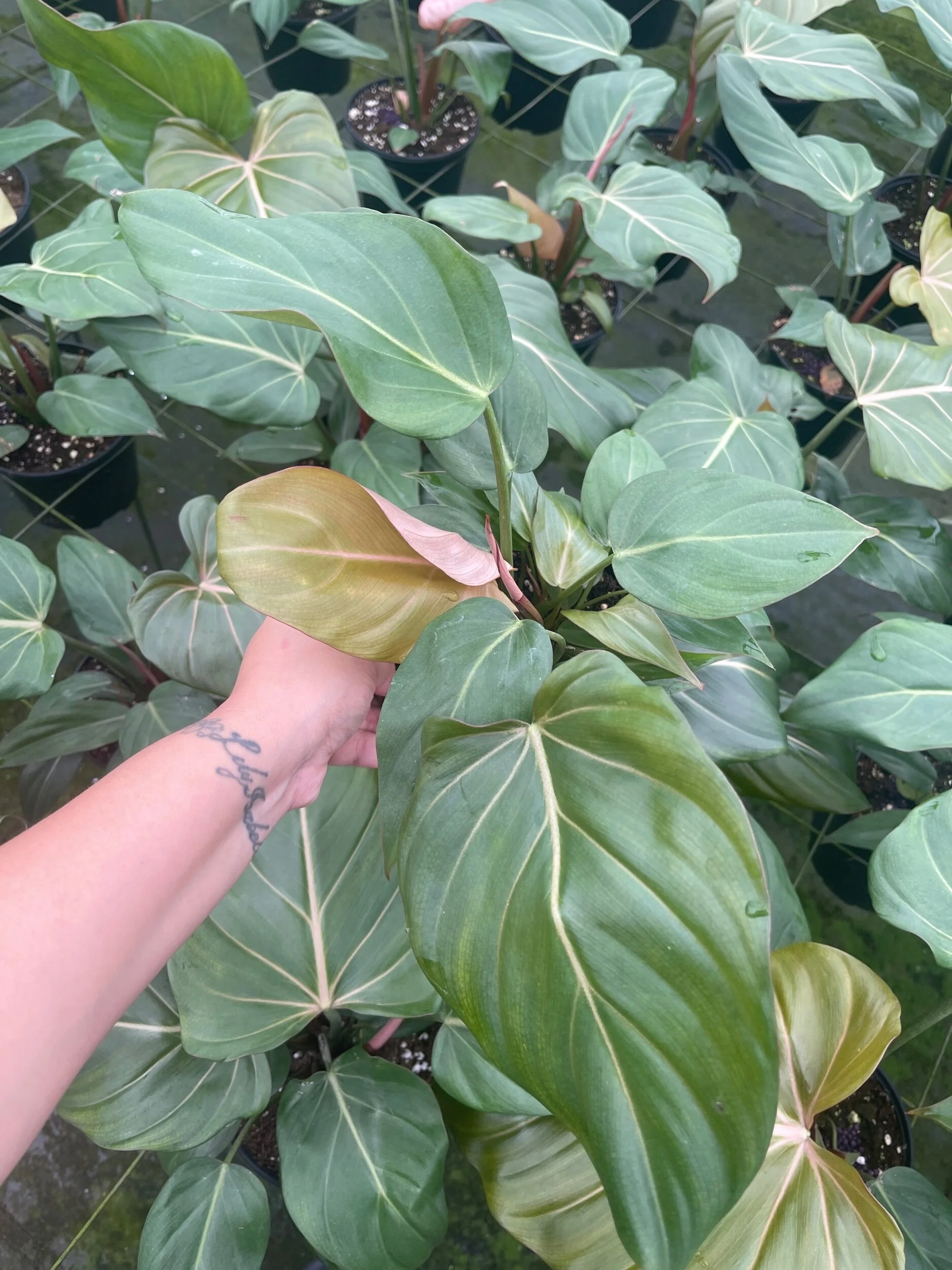 4341929D-35CE-4EDD-A764-130032D024E2