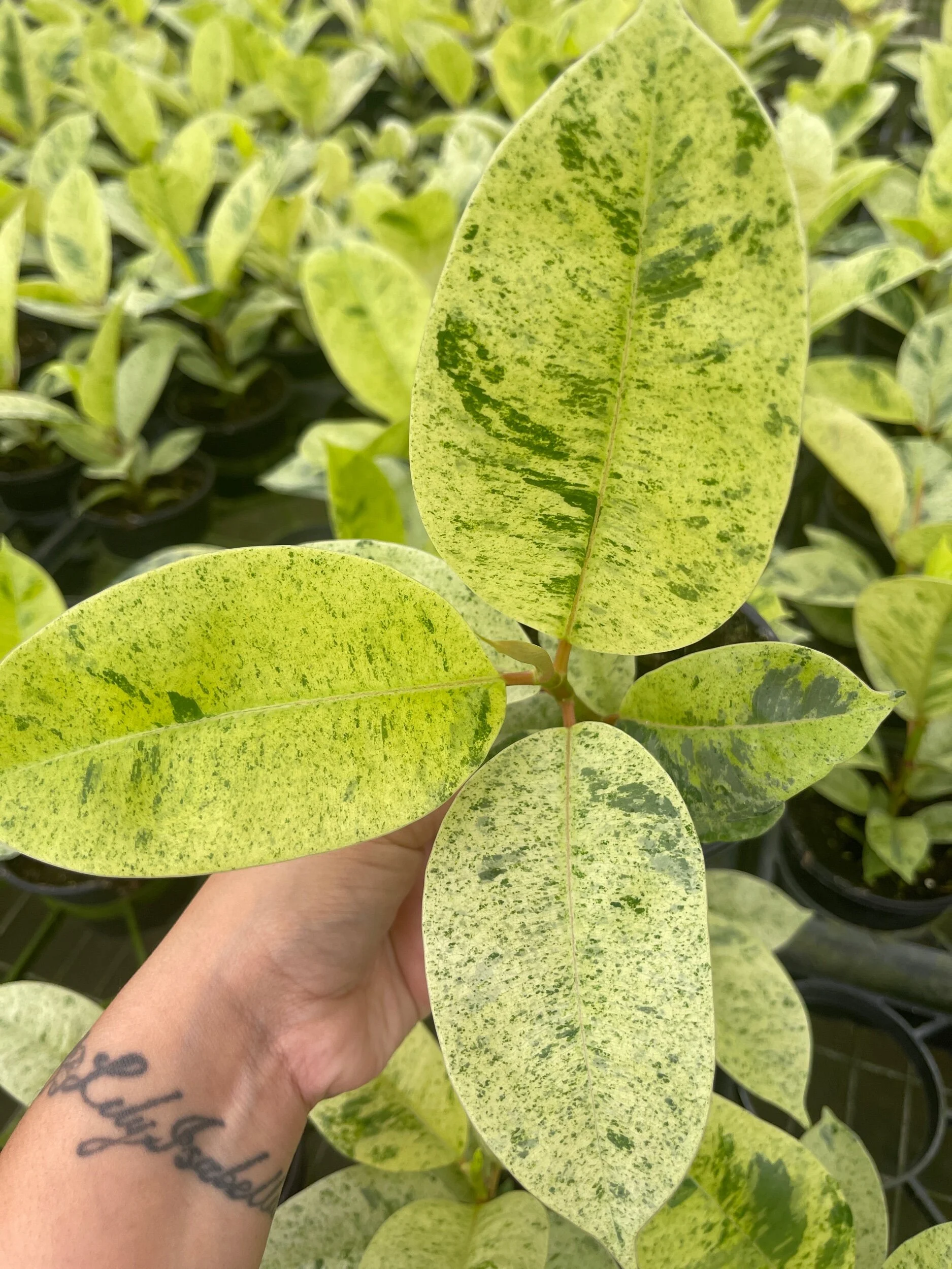 04C01343-61A1-481D-9400-D9E83FE14048