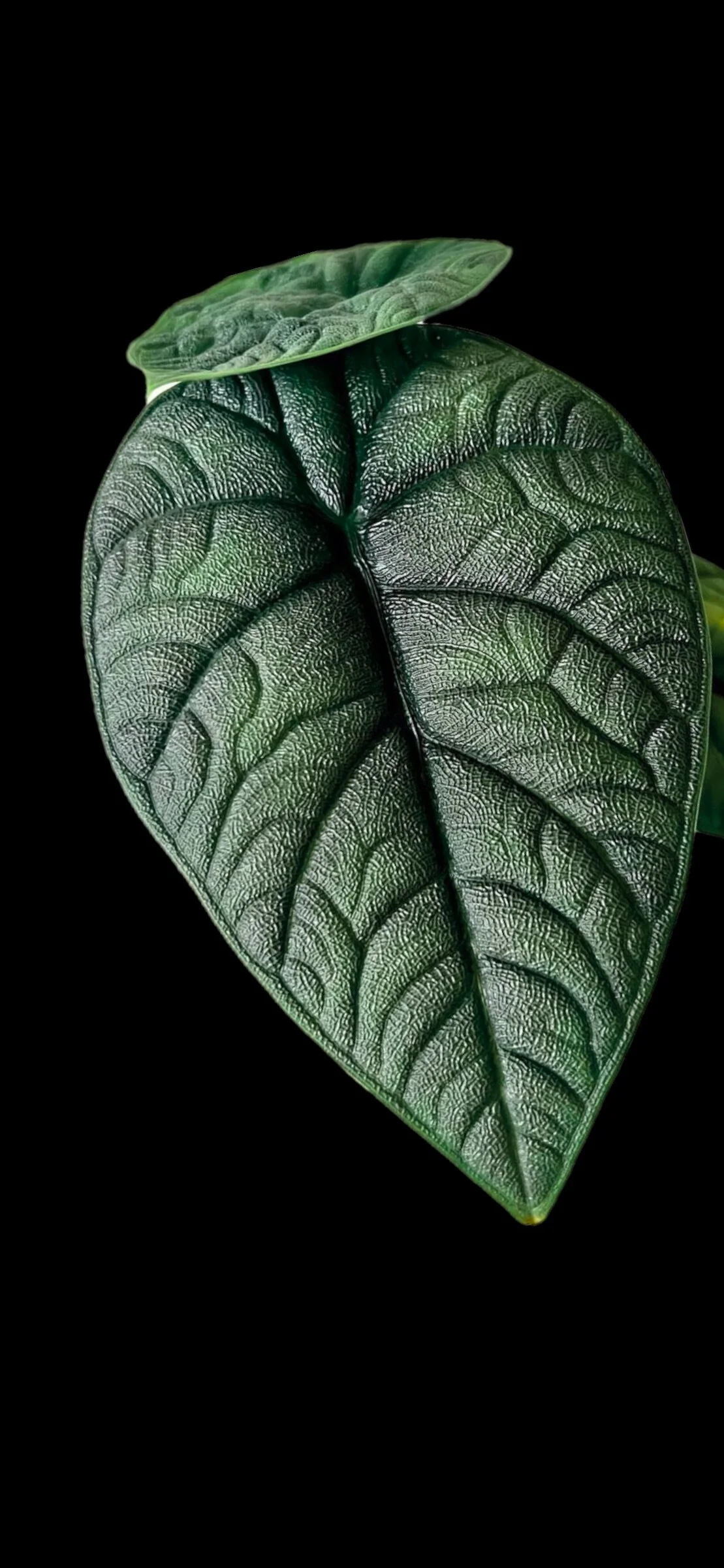 4F594B19-5278-4948-9F73-687A8172CD2F