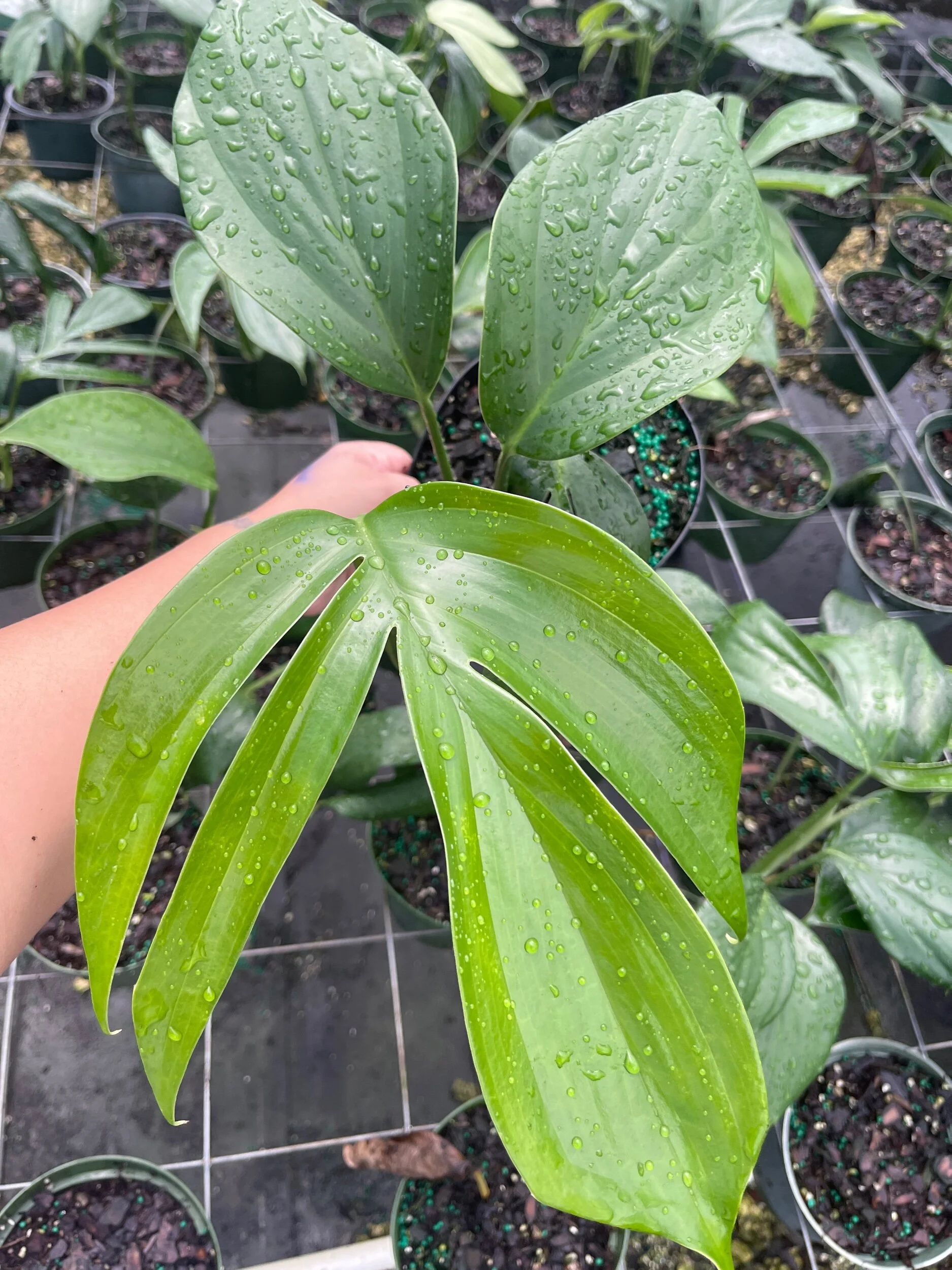 A143F70D-EEB0-478C-9214-5A7D212078E2