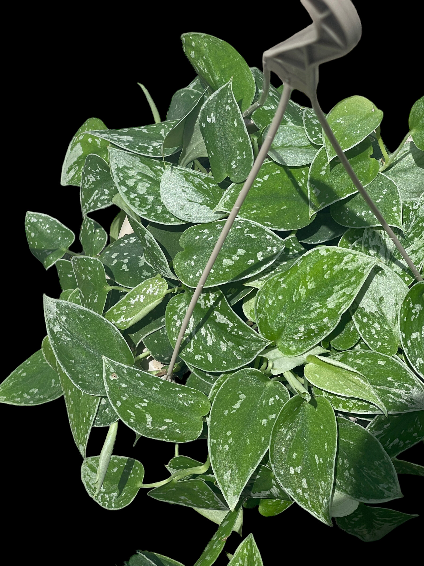 85526359-07FE-42C6-B3B0-CFD390A6E459