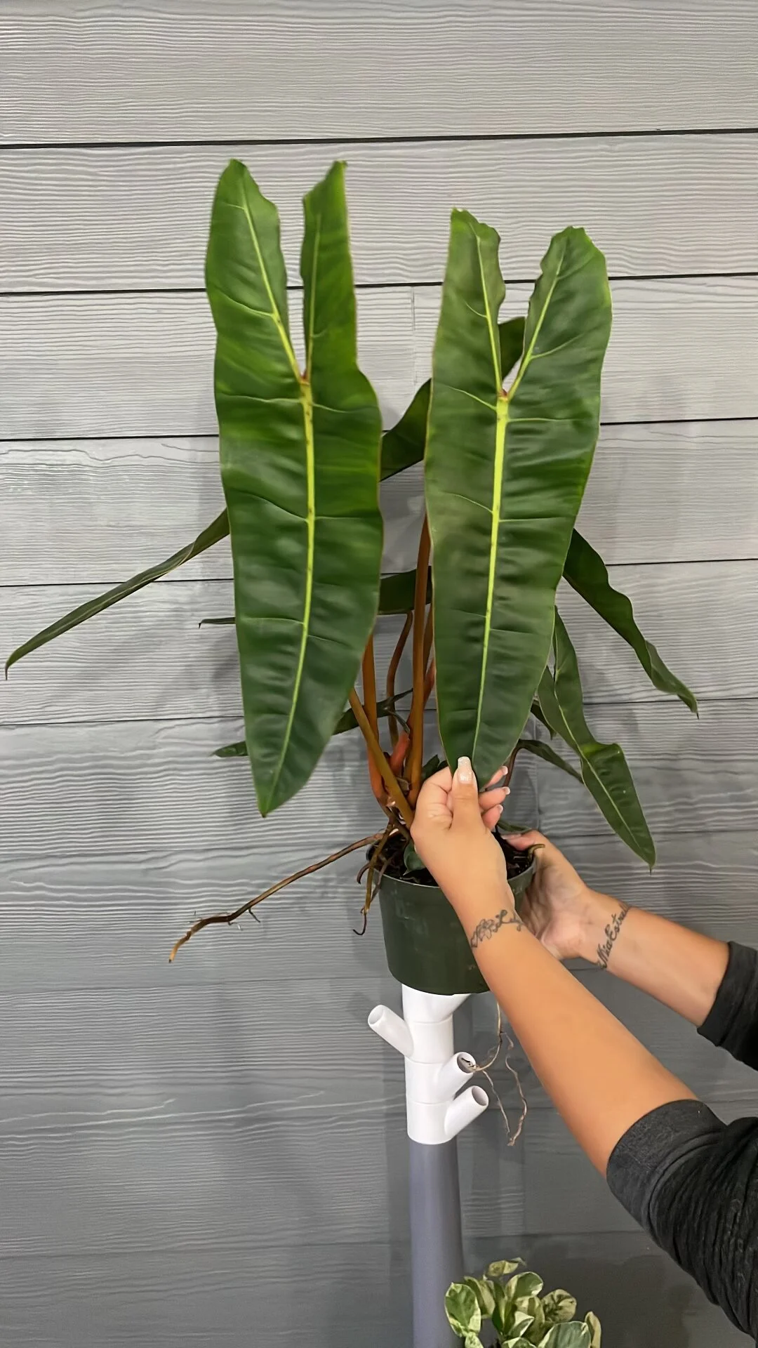 E9DF13EB-F6C8-436E-8233-06CD52B95843