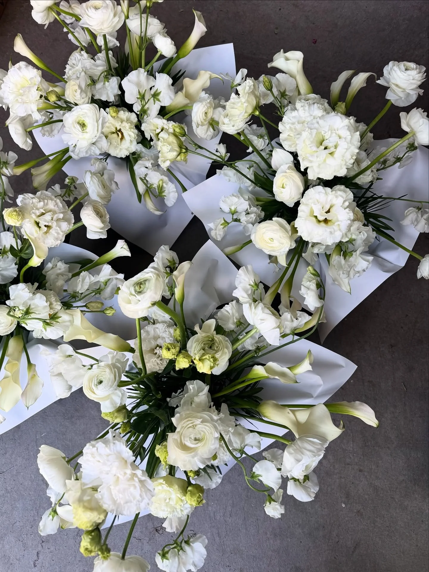 Clean white blooms for a VIP 🤍

#moandcofloral #parkcityflorist #whiteflowers