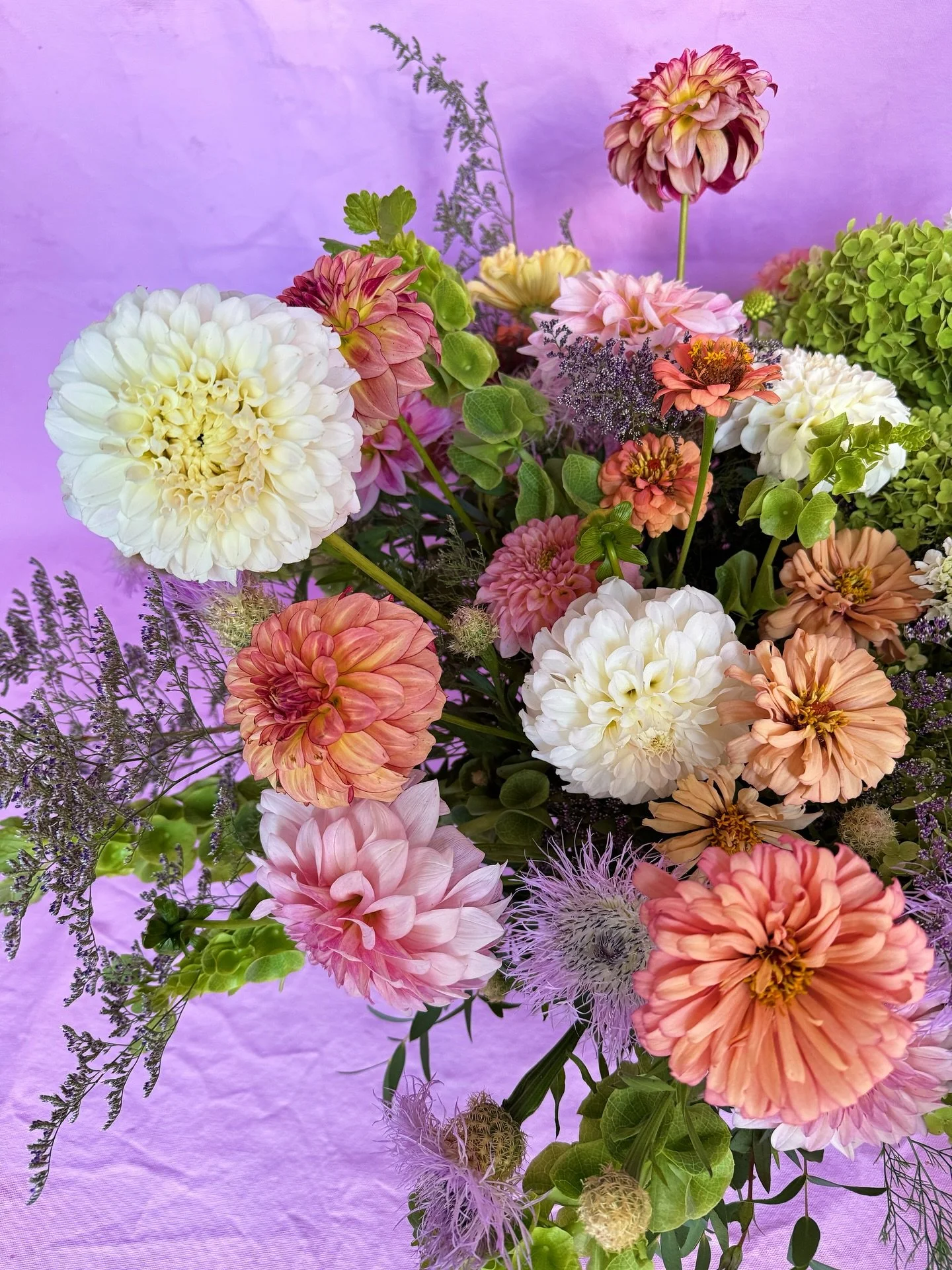 This bad boy was almost too big to fit in frame! 💪

#moandcofloral #flowerdelivery #dahlia #parkcityflorist #hebercityflorist #midwayflorist @picklinq