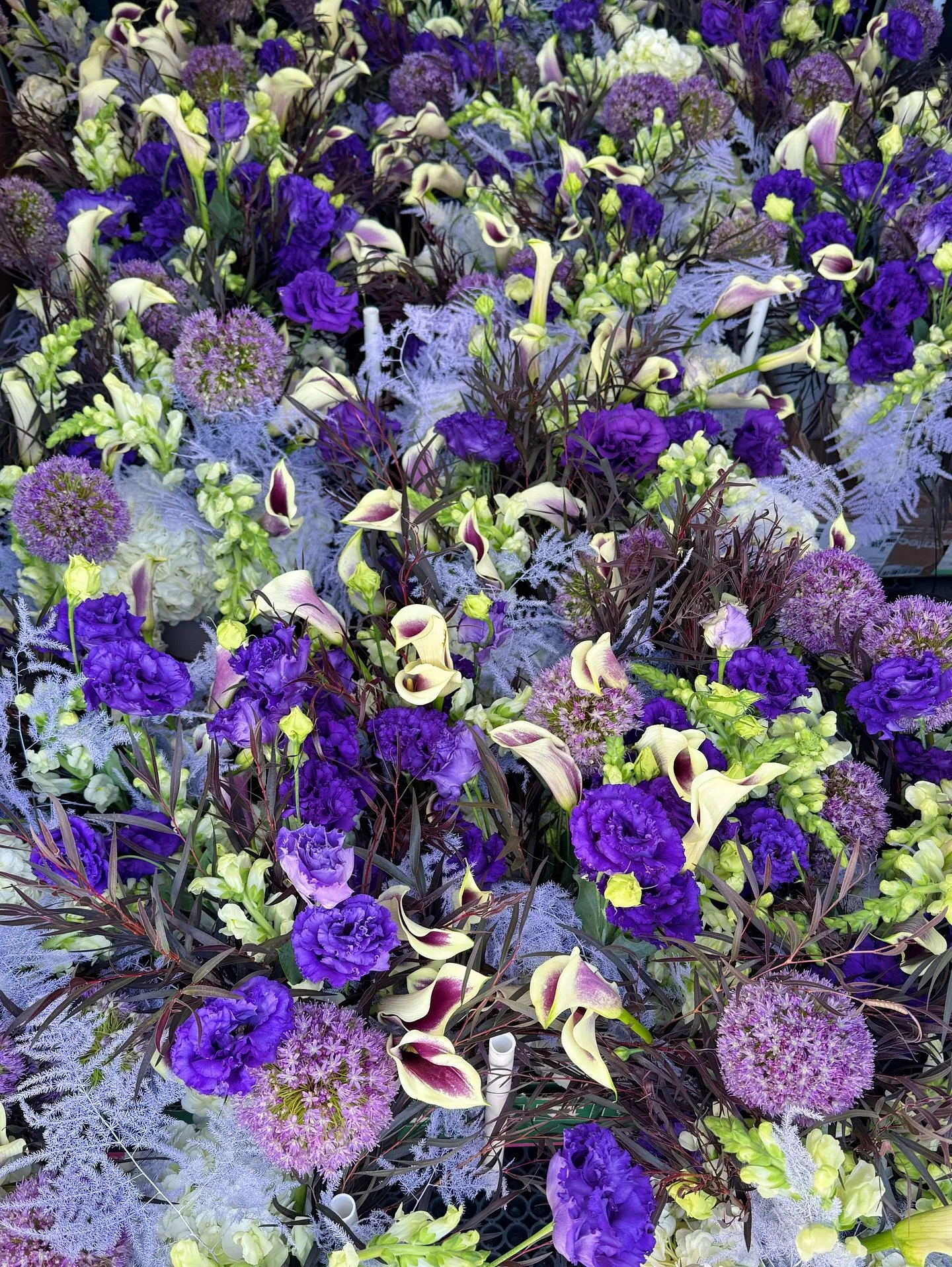 A sea of violet🪻for @accessdmc @utaholympicpark 

#corporateevent #purplecenterpiece #funkyflorals #parkcityevents #moandcofloral