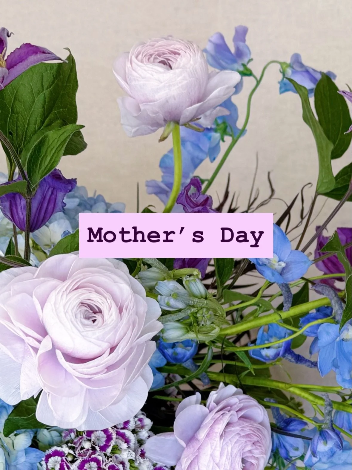 The Mother&rsquo;s Day Collection 2026 is here!

💙The Cool Mom
🩷The Chic &lsquo;Bold&rsquo; Mom
🧡The Fun Mom
💚The Chic &lsquo;Earth&rsquo; Mom 

Orders are now available for delivery online at moandcofloral.com ~ Link in bio