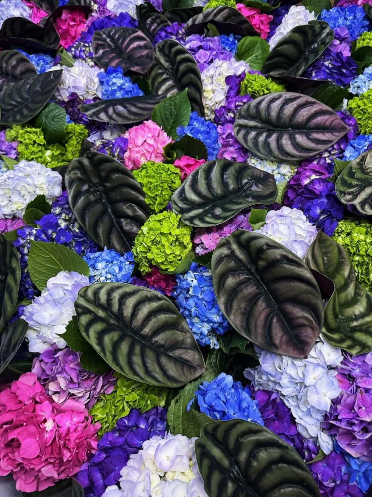 Iridescent leaves + hydrangea mounds for @summiteventsdmc 🦎