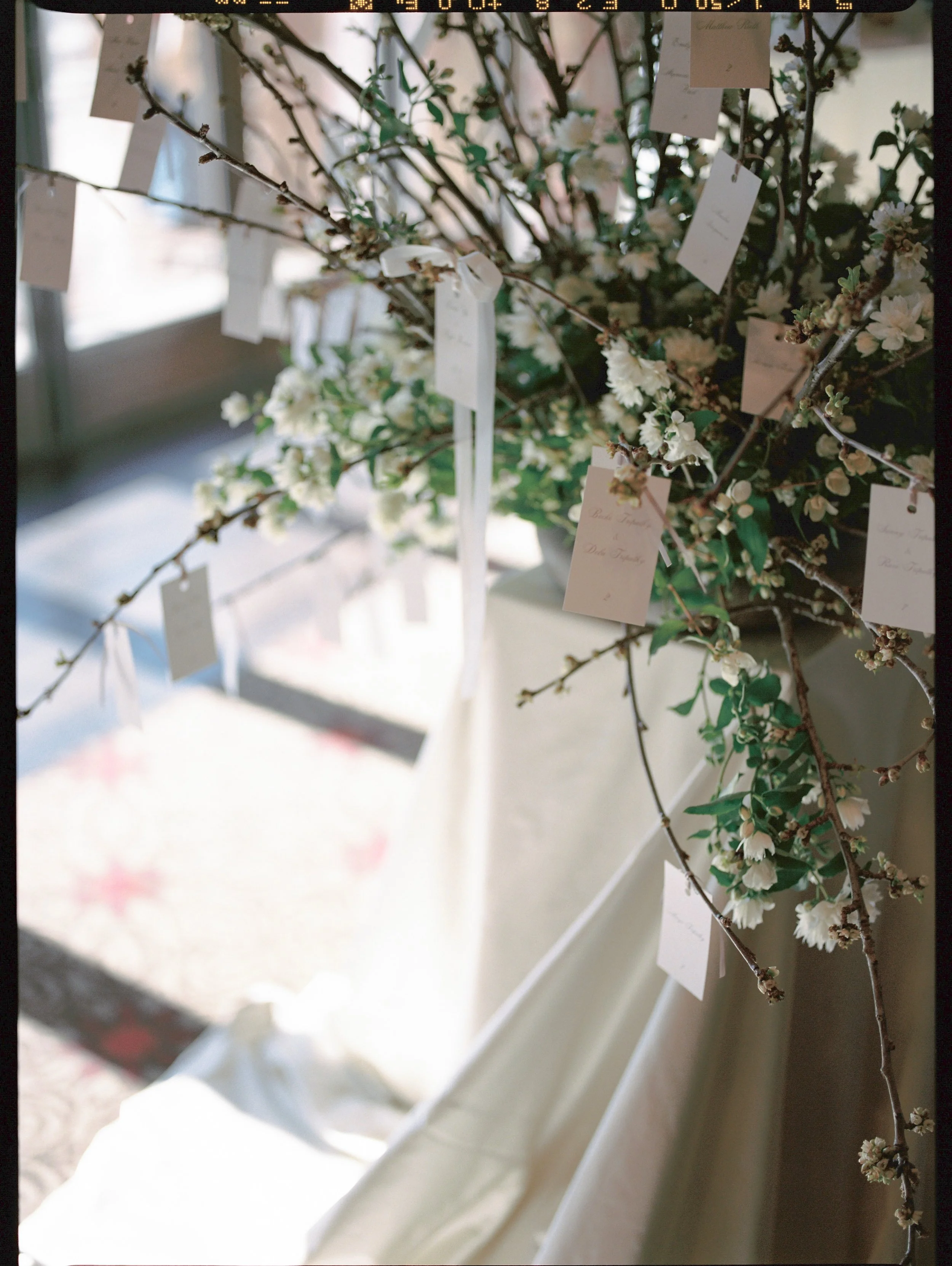 Now find your seats 🤍

Planning &amp; Design @maraeevents
Photography @tiffanyvonwed 
Venue @steinlodge @steinwedding
Hair &amp; Makeup @lesleylind
Florals @moandcofloral
Film Lab @thefindlab
Film @kodakprofessional @kodak
Production @wasatchproduct