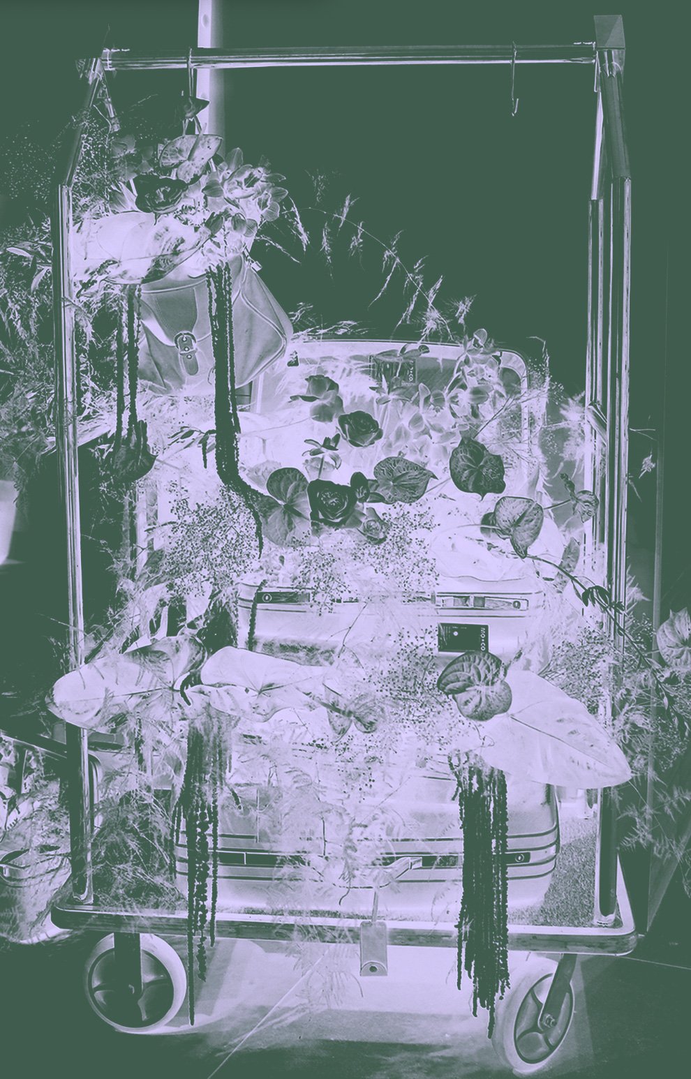 Park City, Utah Florist Events I Weddings I Everyday Delivery