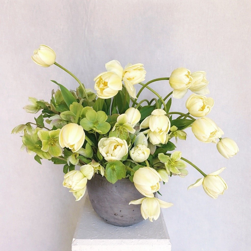 mothers day floral delivery park city utah spring tulips mo and co floral