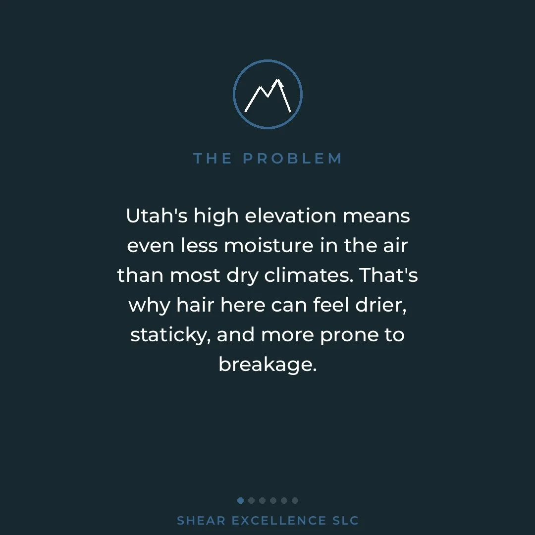 If you moved to Utah from somewhere more humid, your hair probably noticed before you did. 😳

Utah's high elevation means even less moisture in the air than most dry climates &mdash; which is why hair here can feel drier, staticky, and more prone to