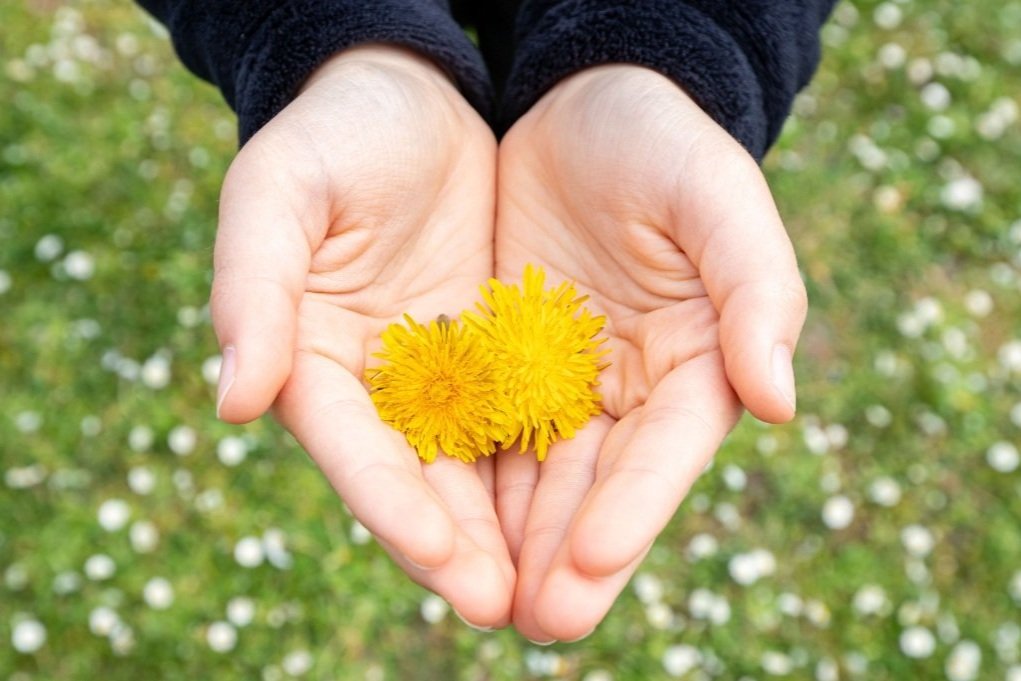 Foundation for Mindfulness.jpg
