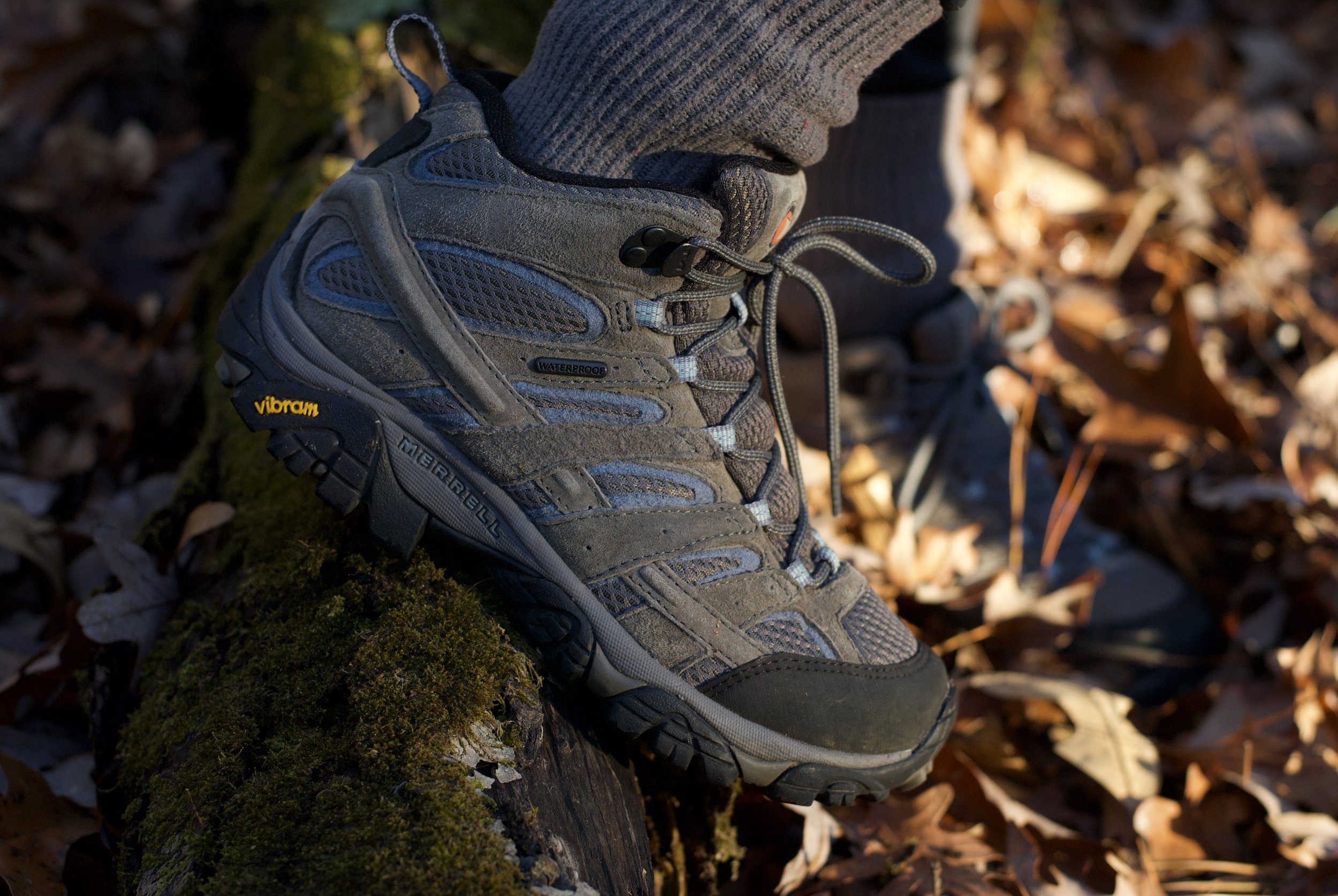 Merrell Hiking Boots
Merchant's Millpond, North Carolina