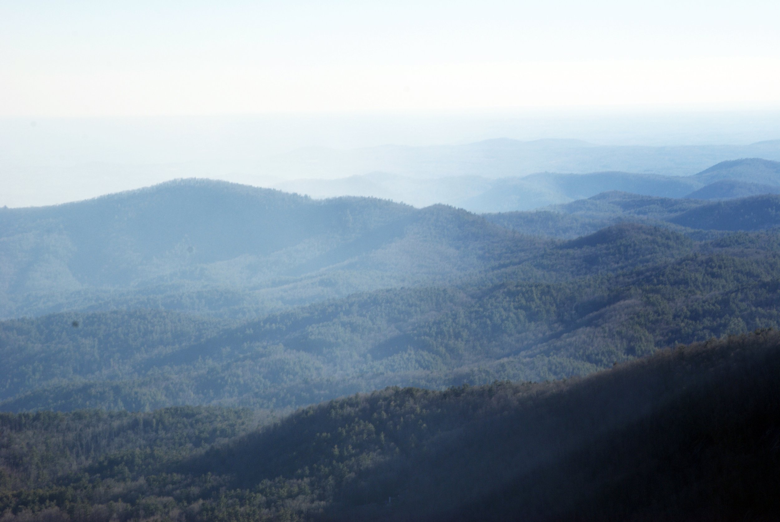 DSC_0813.jpeg