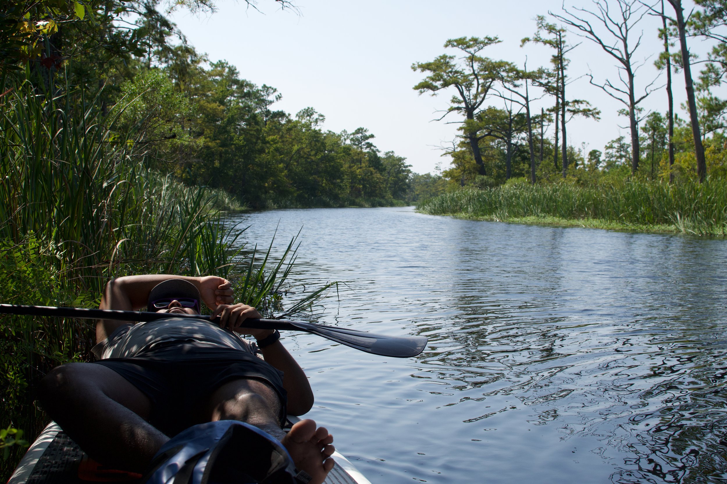 Easy Day at Alligator
Alligator River, North Carolina