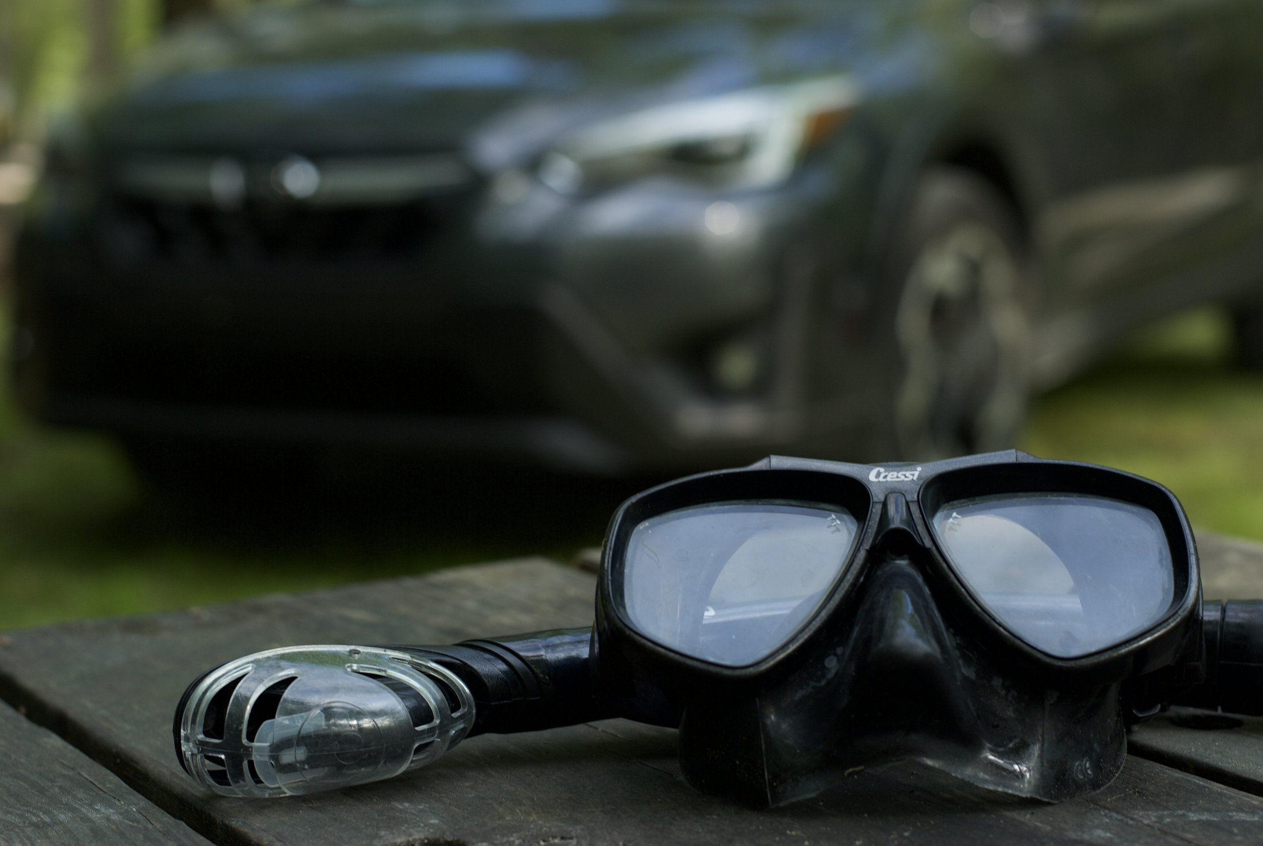 Cressi Mask & Snorkel
High Springs, Florida