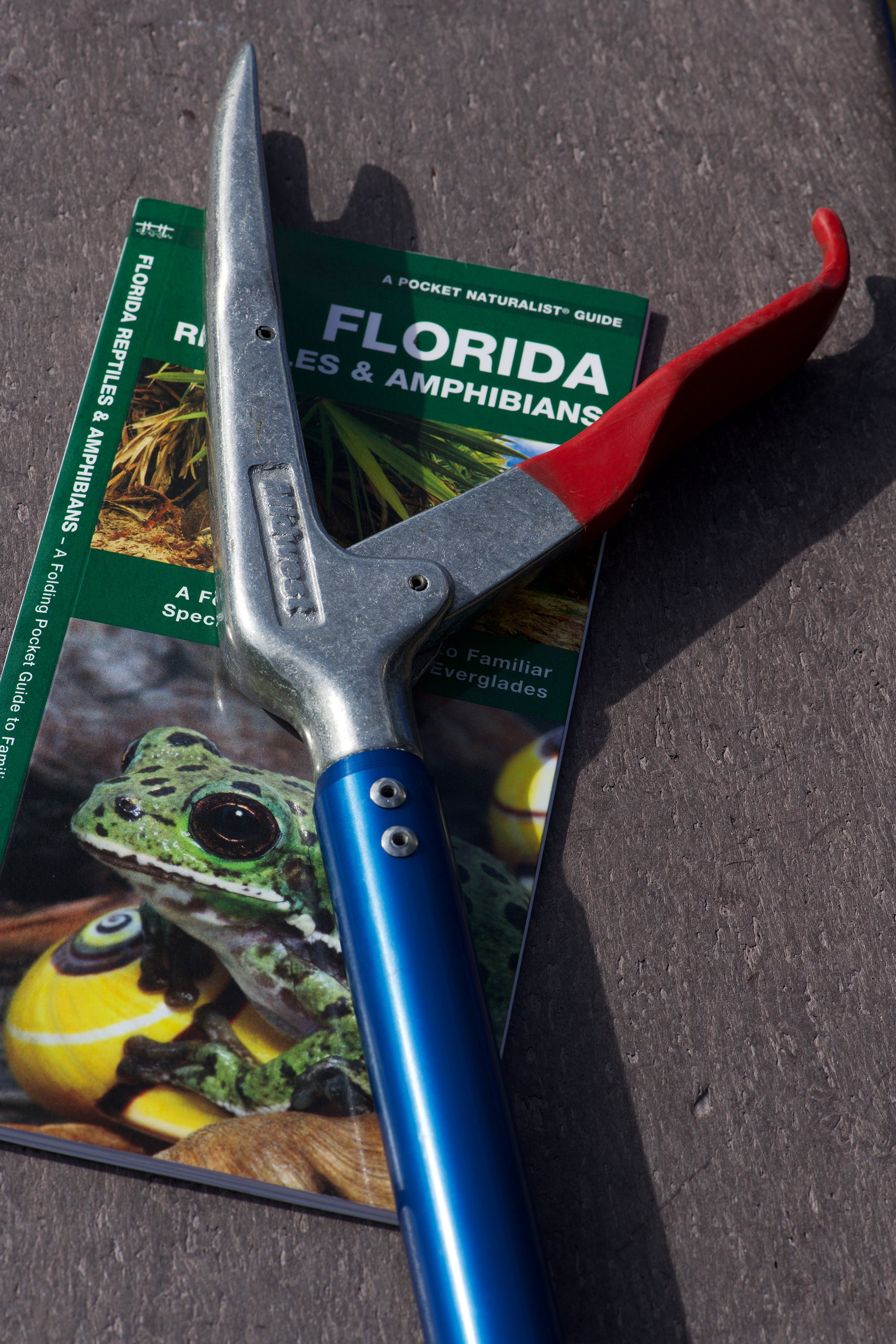 Midwest Tongs
Everglades, Florida