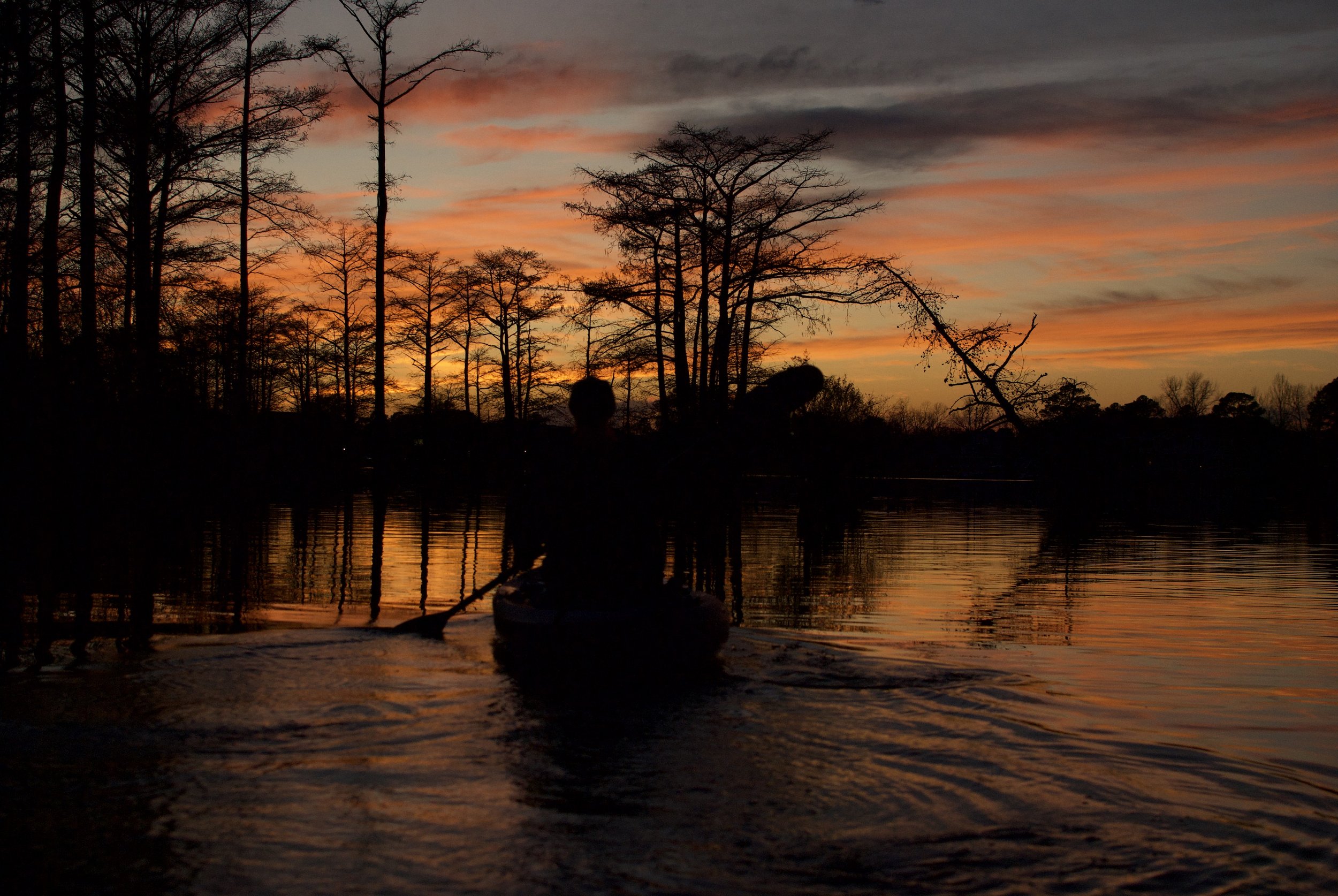 Kayaking the Pasquotank River
Pasquotank County, North Carolina