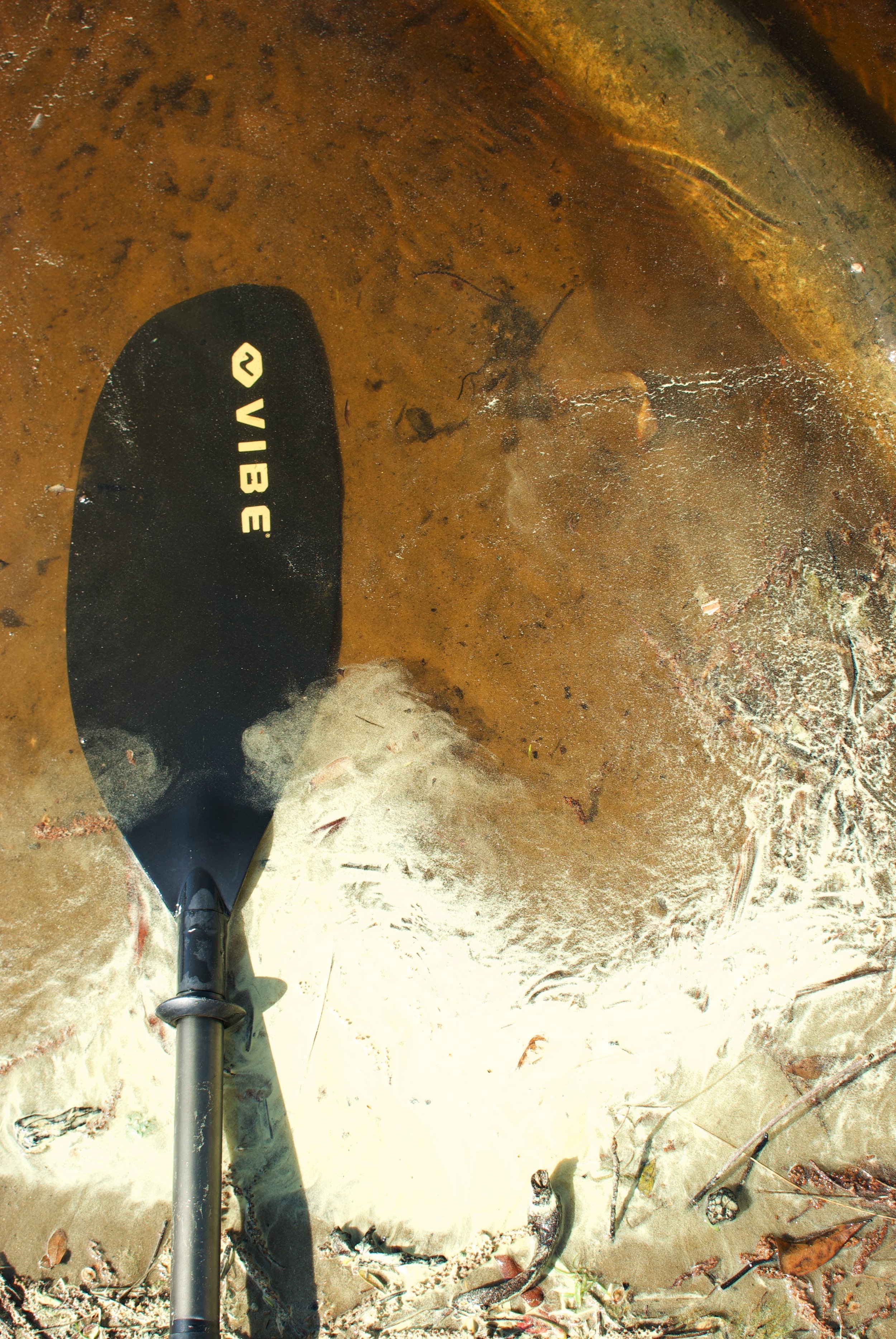 Vibe Paddle
Pasquotank River, North Carolina