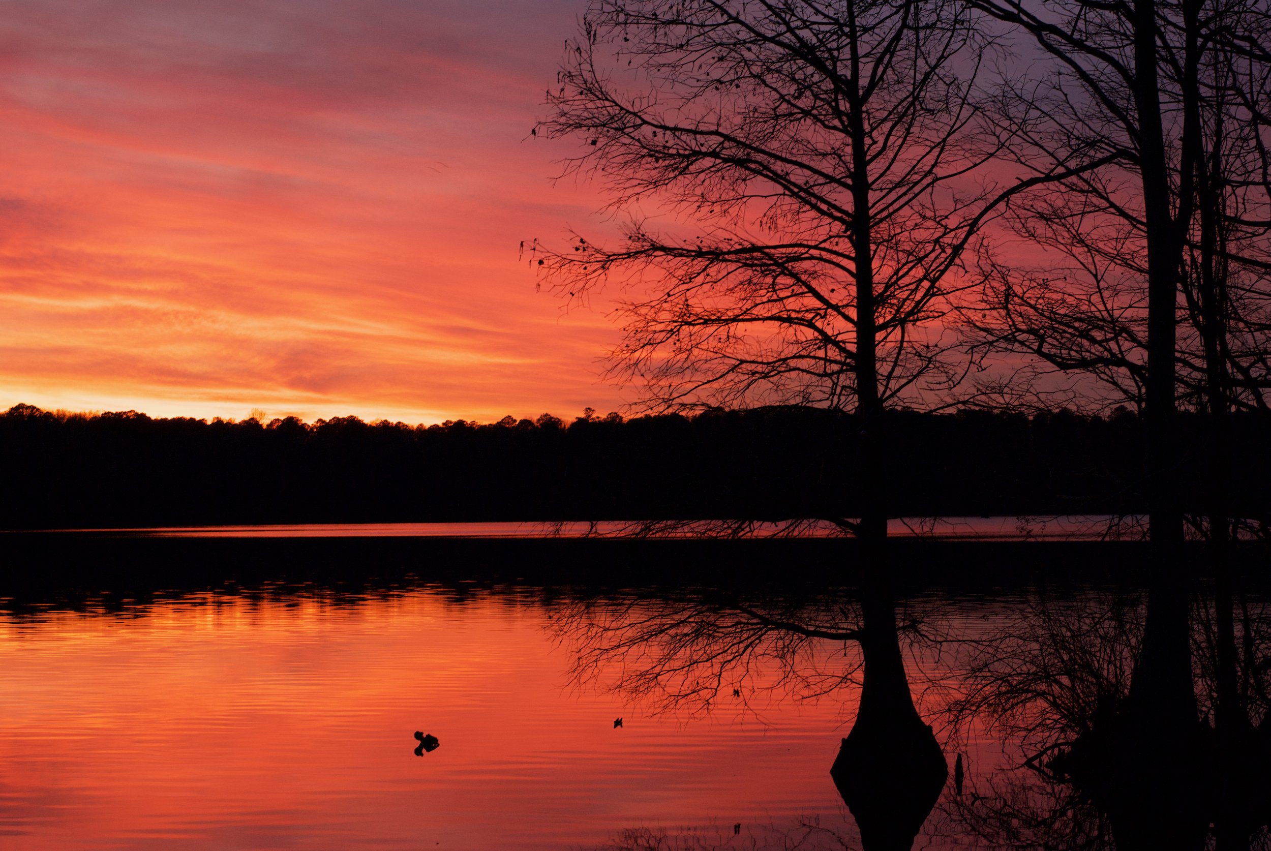 Stumpy Lake 
Chesapeake, Virginia