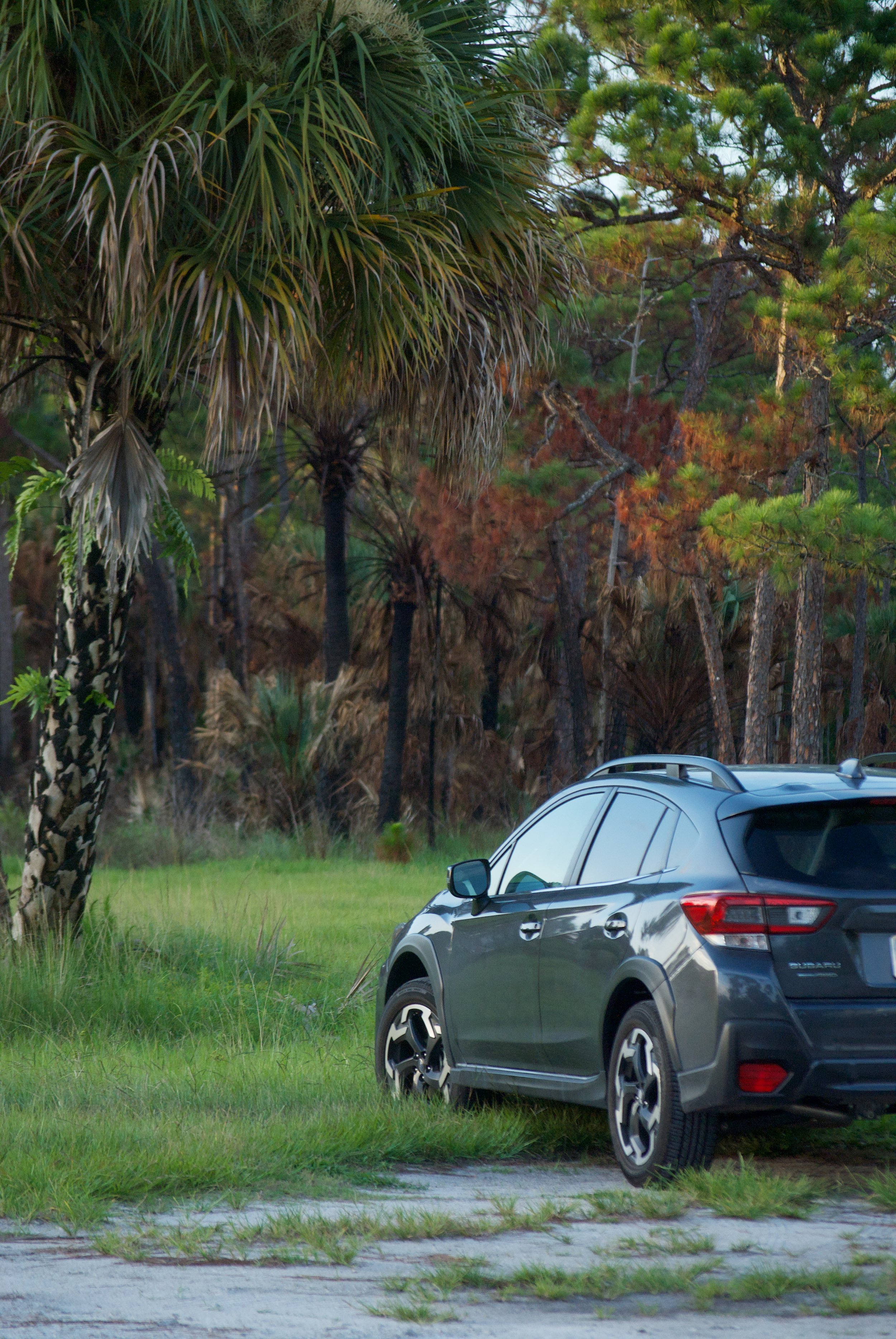 Crosstrek's First Voyage
Jonathan Dickinson State Park, Florida
