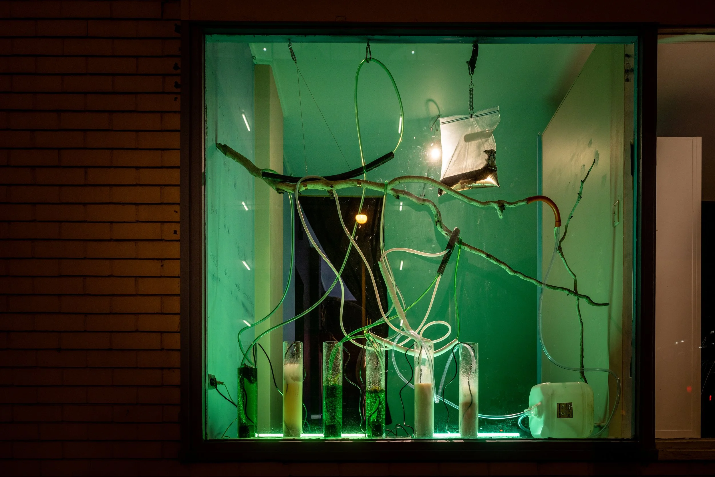 Dark_Mofo_GG-35 (2).jpg