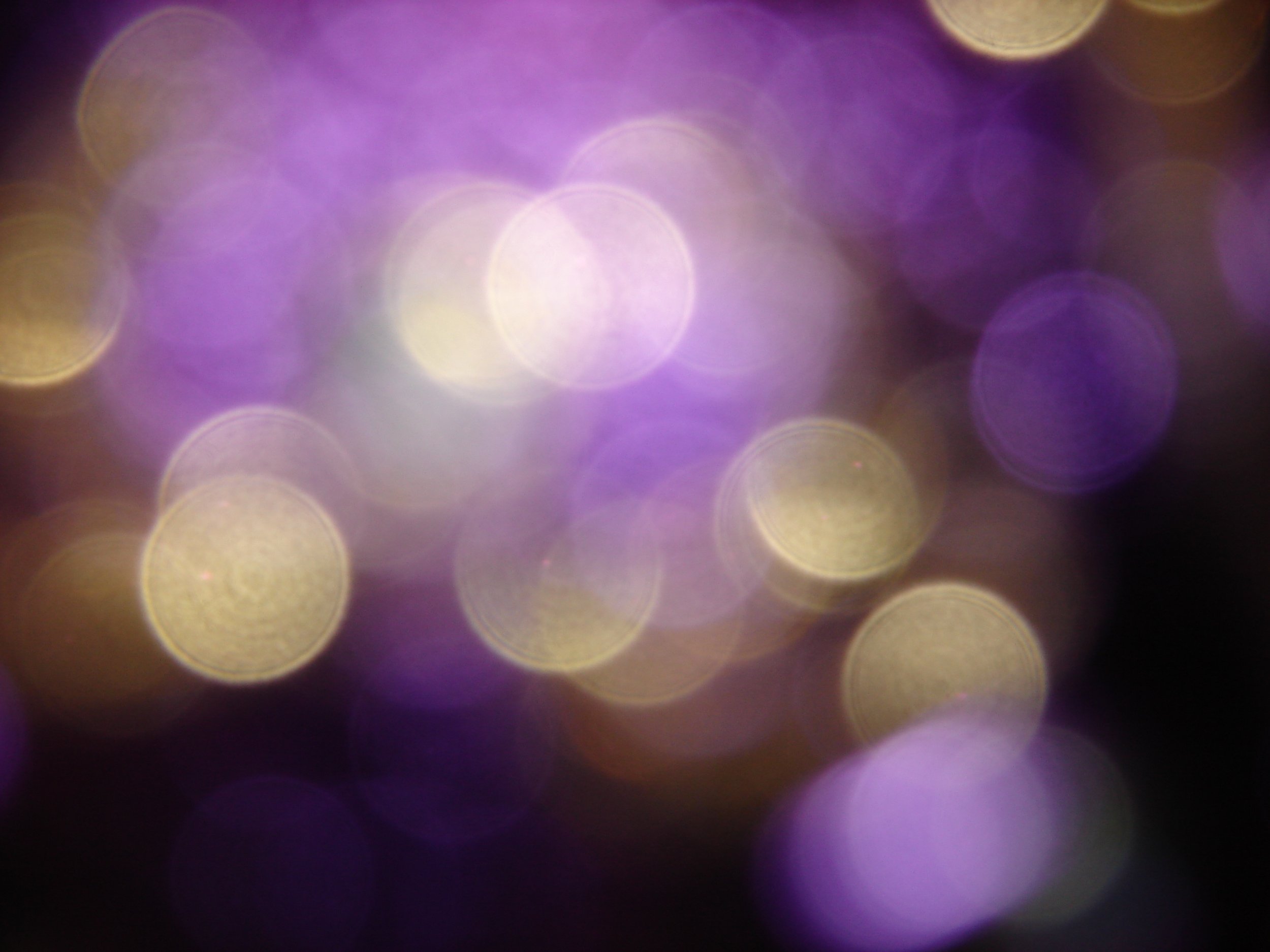Bokeh.JPG
