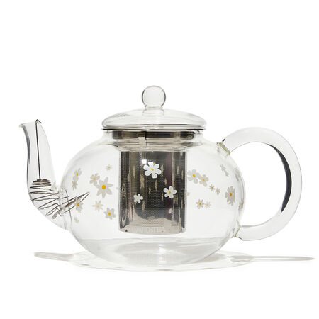 David's Tea Daisy Glass Tea Pot and Cups