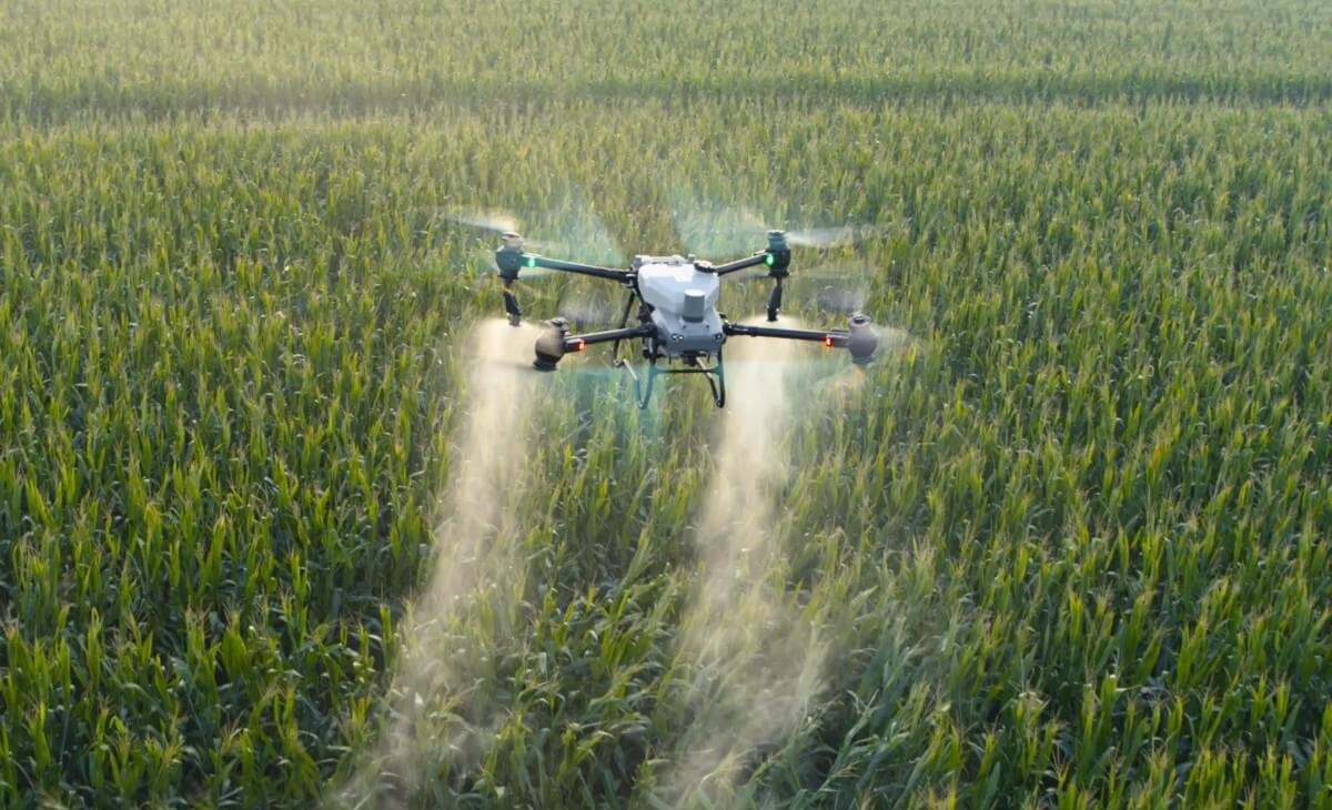 A drone flying over a green crop field spraying pesticides or fertilizer.