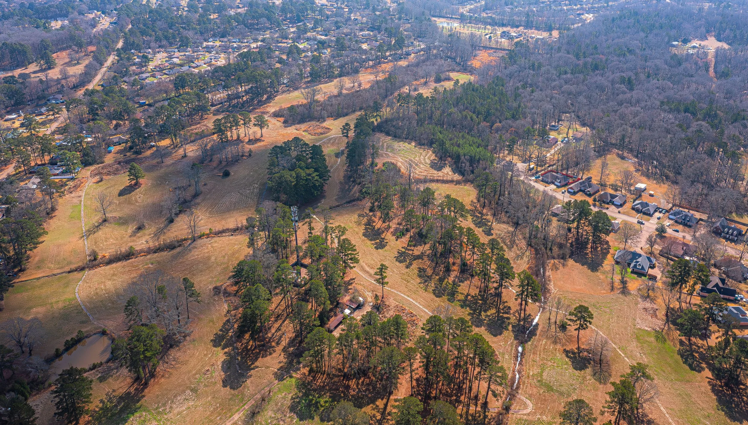 DJI_0443-Enhanced-NR (1).jpg