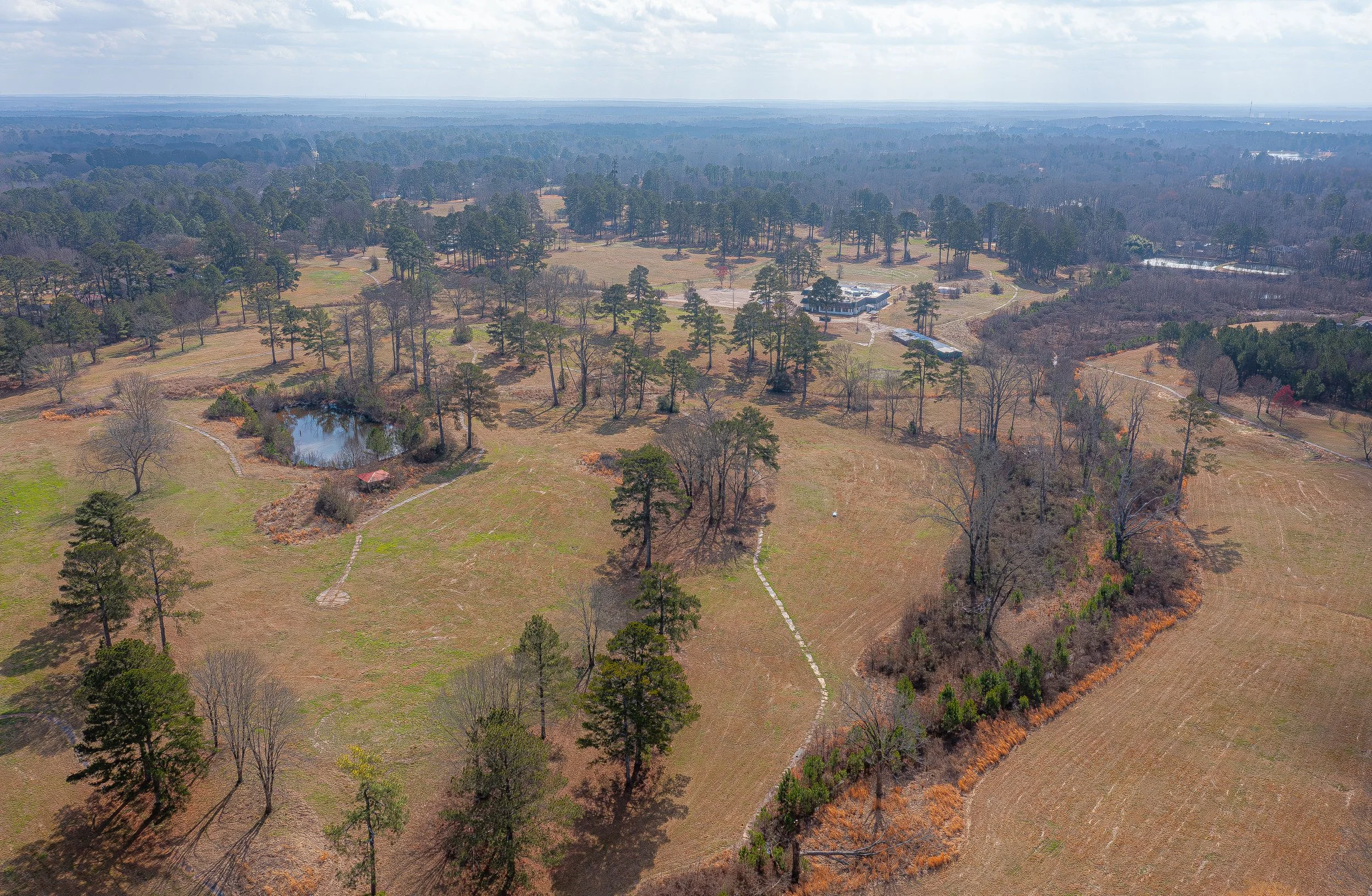 DJI_0434-Enhanced-NR (1).jpg