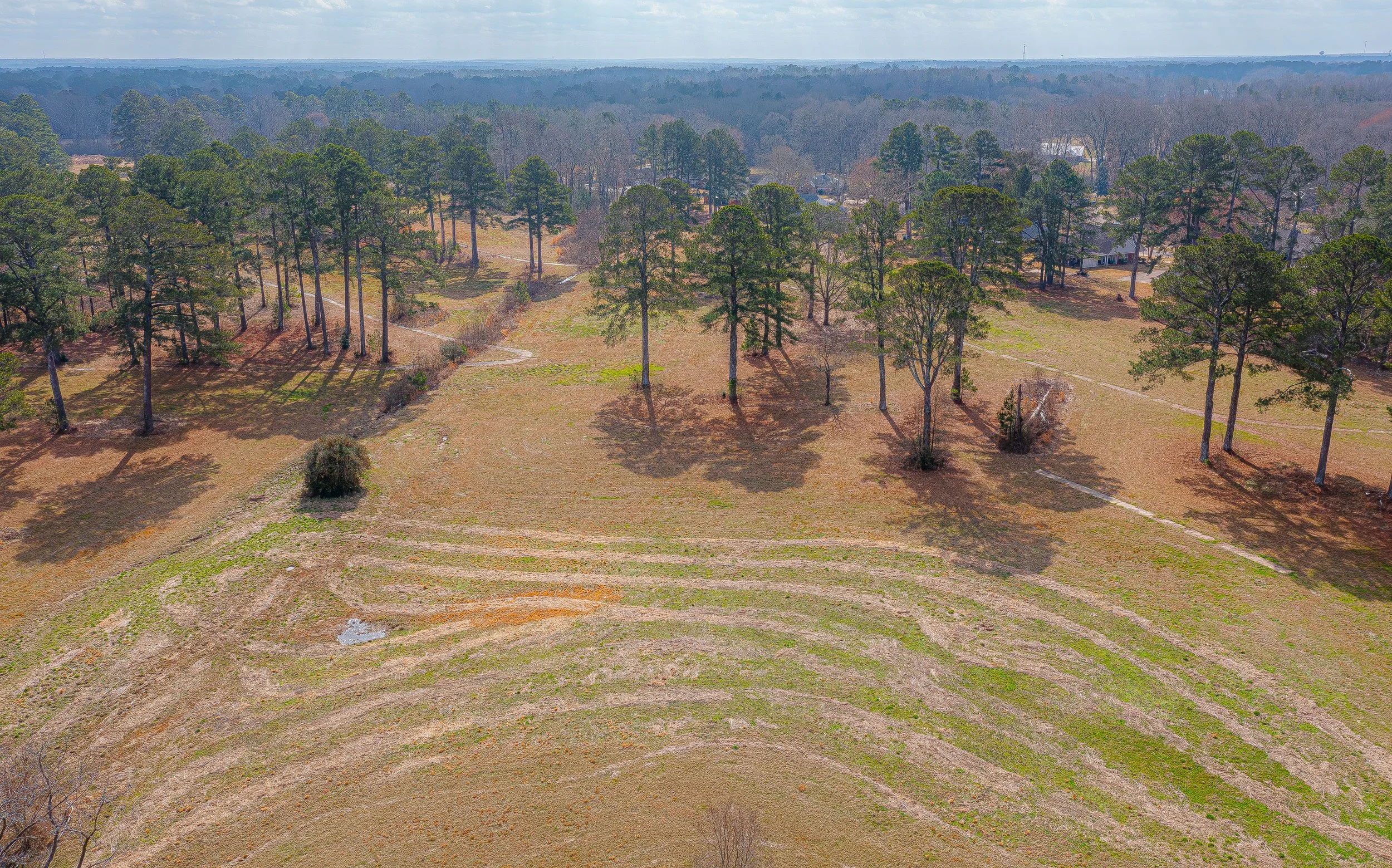 DJI_0419-Enhanced-NR (1).jpg