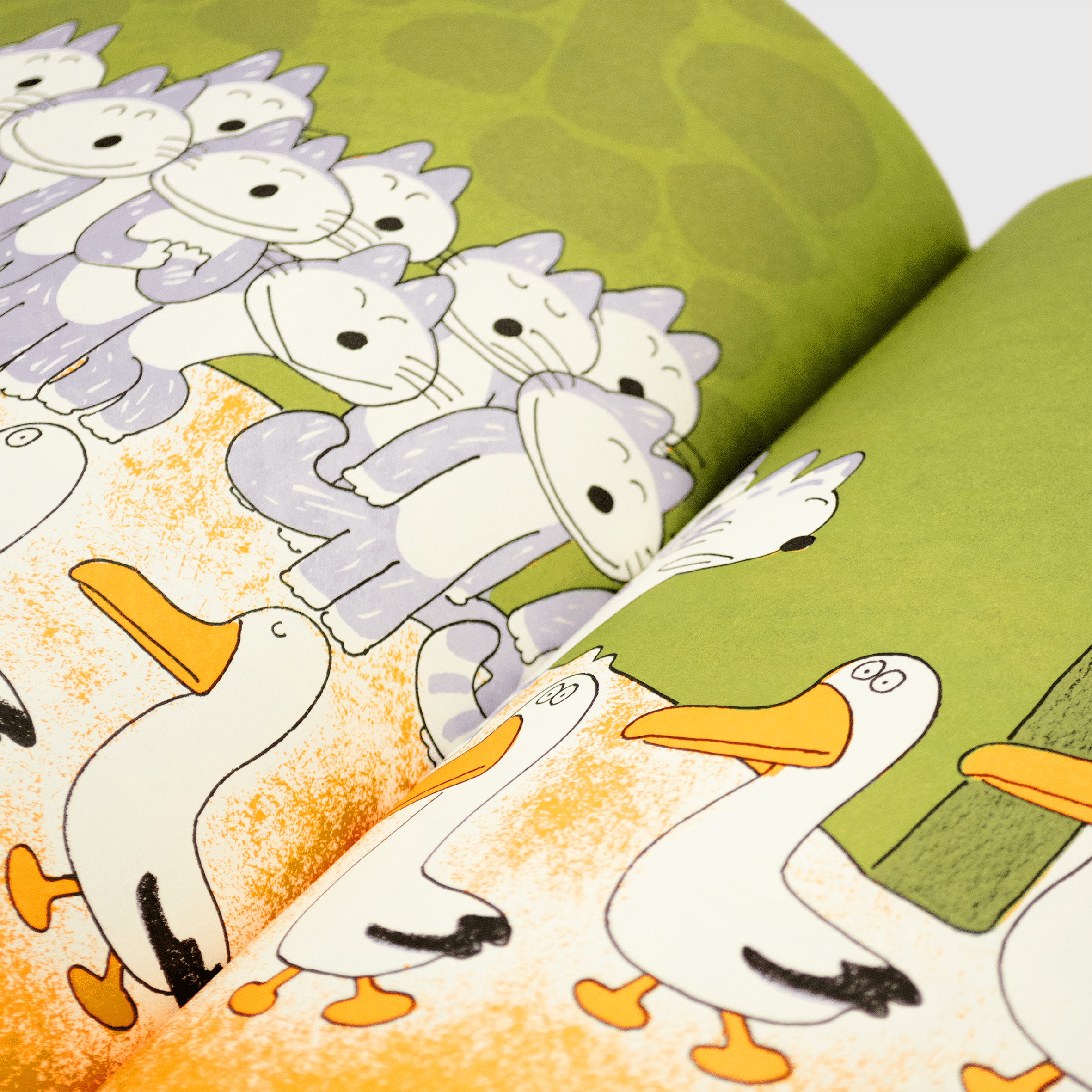 ONZE_CHATONS_ALBATROS_zoom_2.png