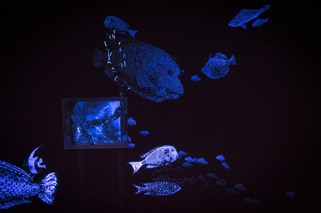 DSC_0040_low.png